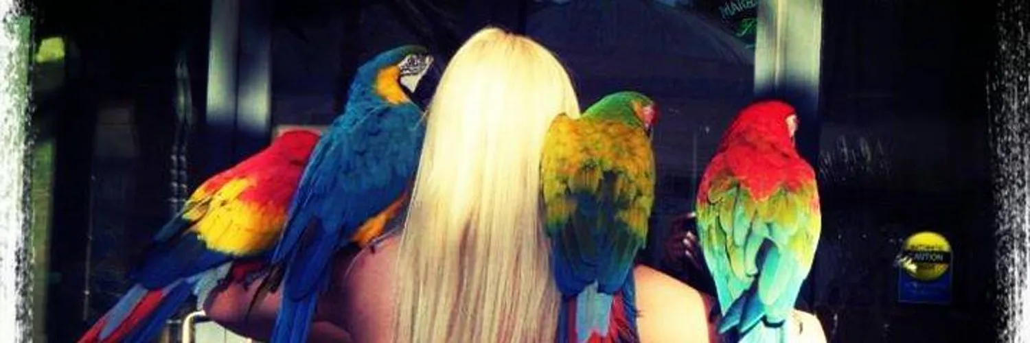 Return On Initiative OnlyFans header