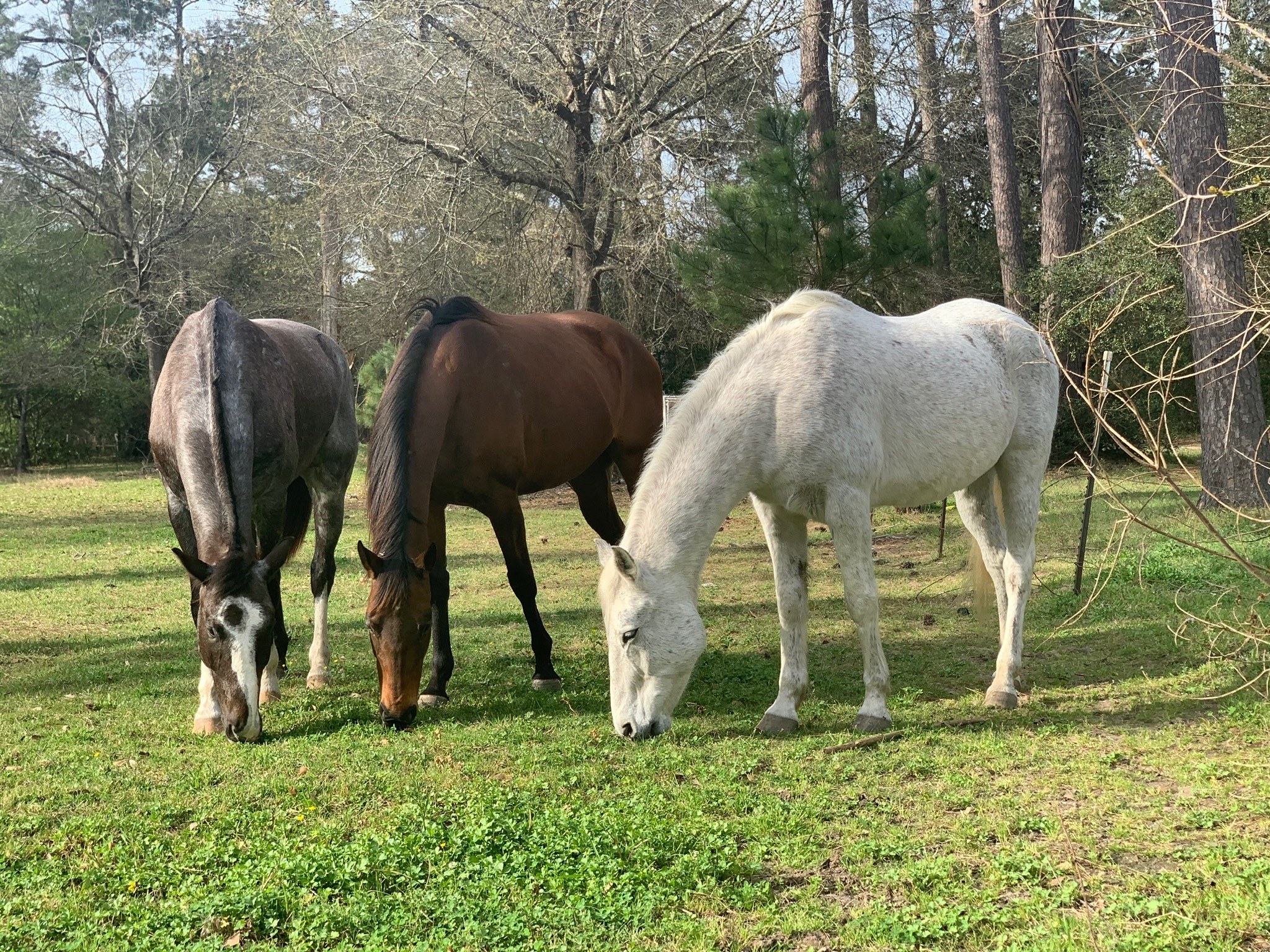 🤠😈🤤 OnlyFans header