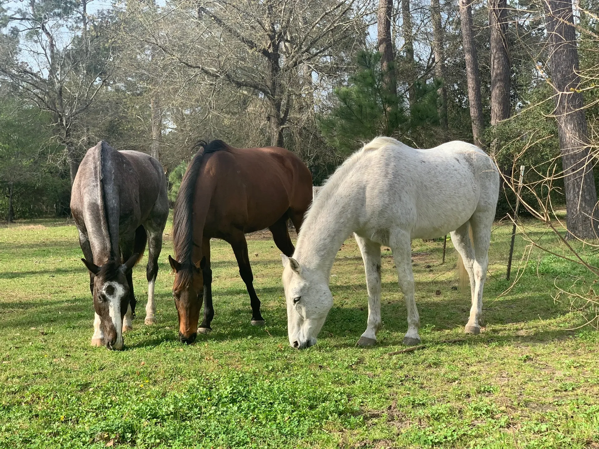 🤠😈🤤 OnlyFans header