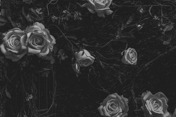 film.nymphette OnlyFans header