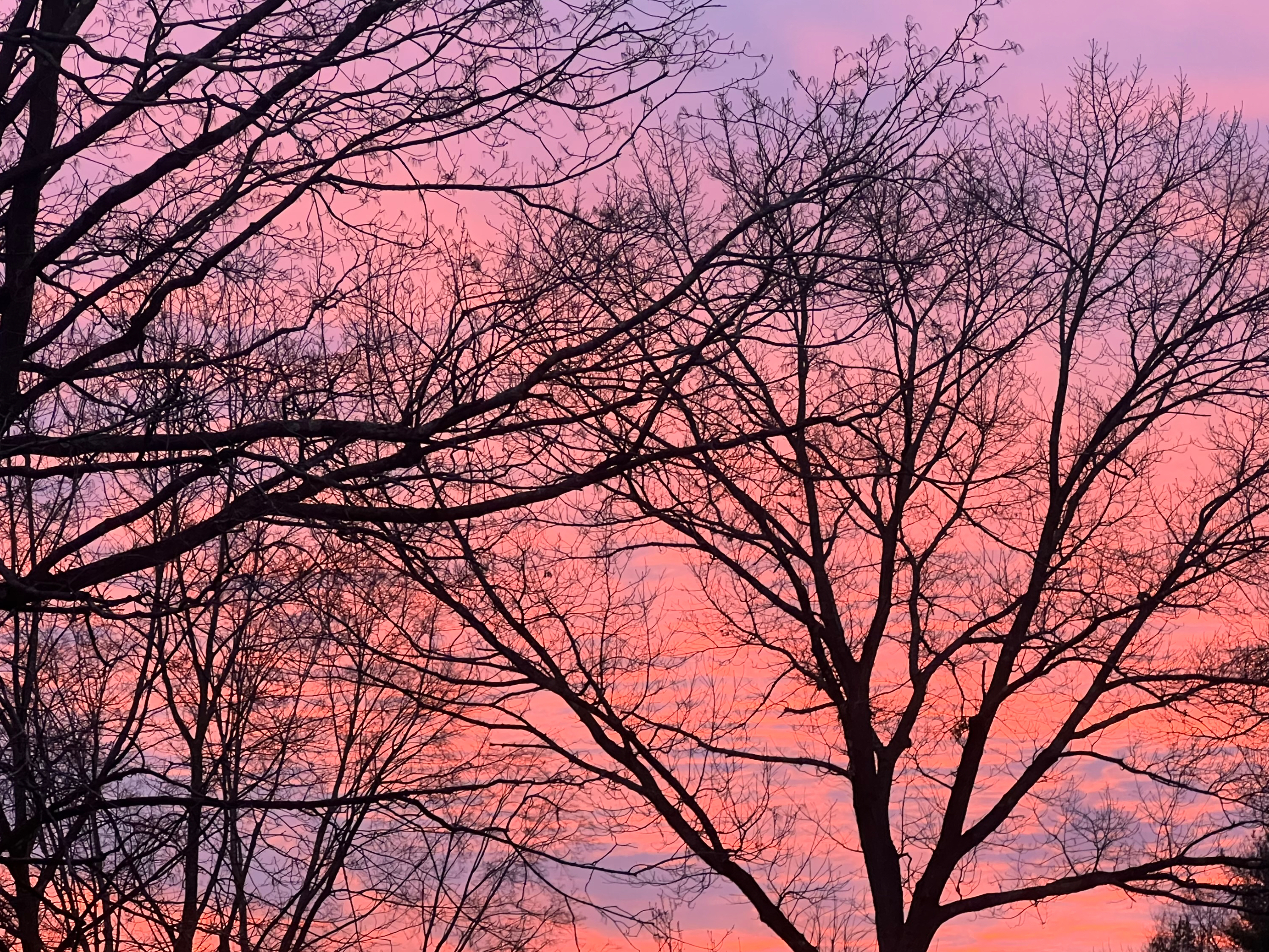 Filomena Star OnlyFans header