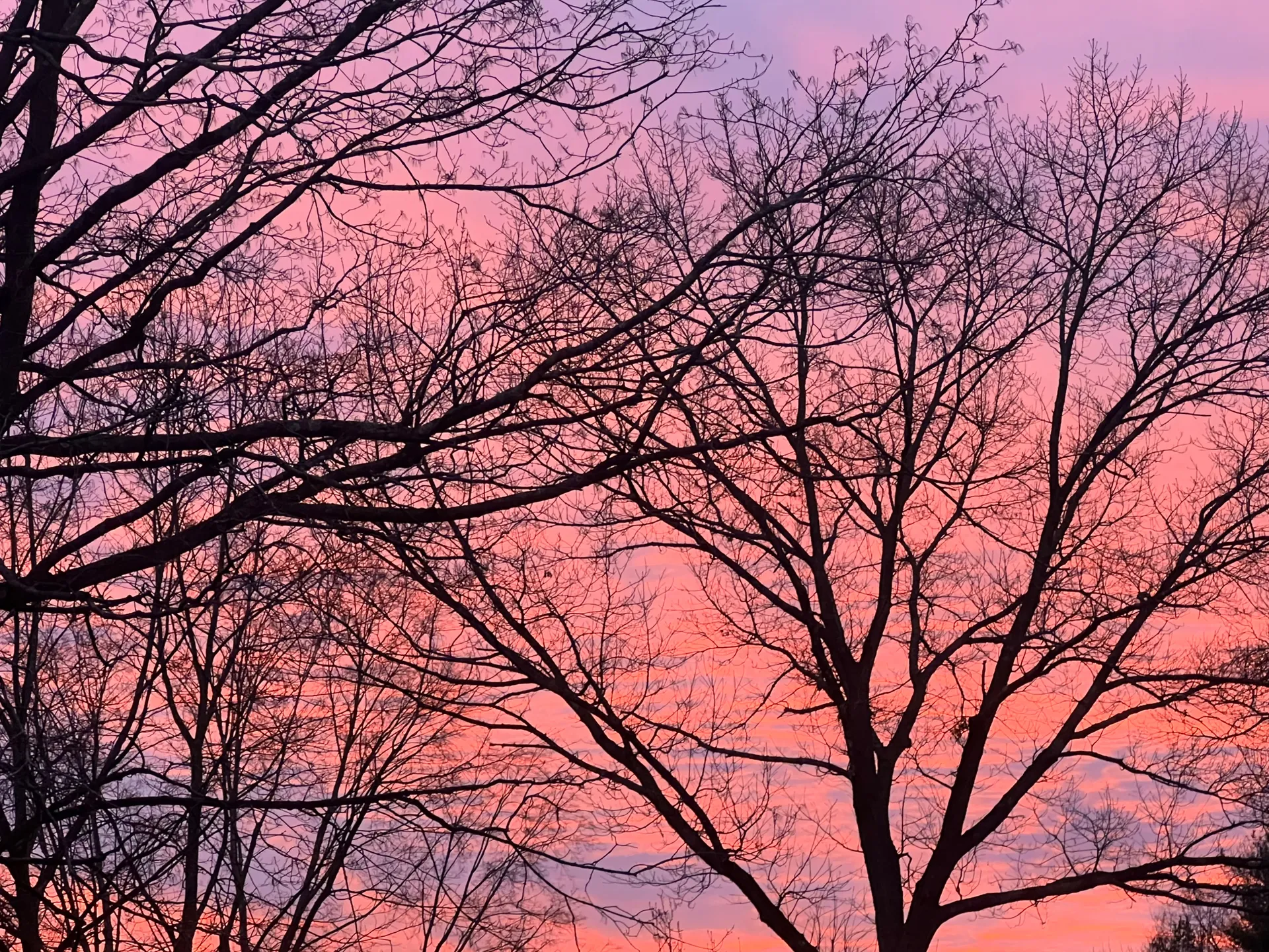 Filomena Star OnlyFans header