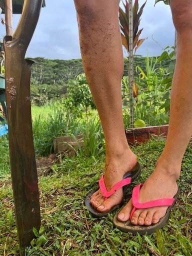 Filthy Farm Feet OnlyFans