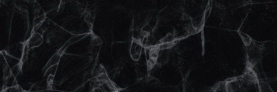 🕷 OnlyFans header