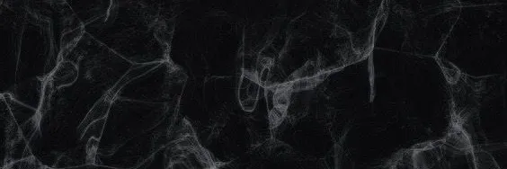 🕷 OnlyFans header