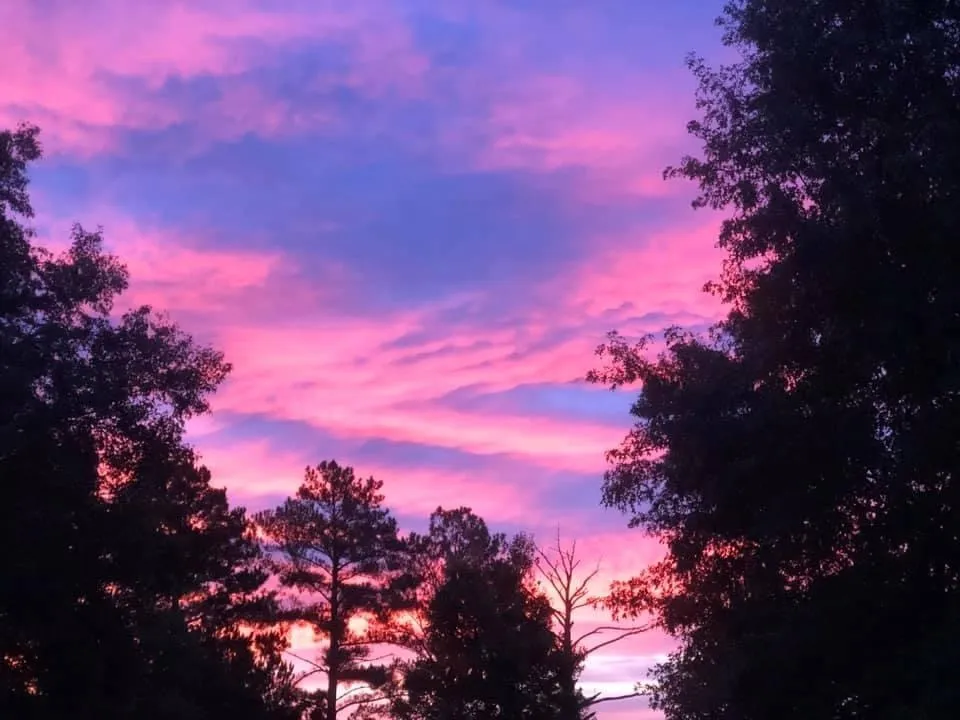 Filthy Girl OnlyFans header