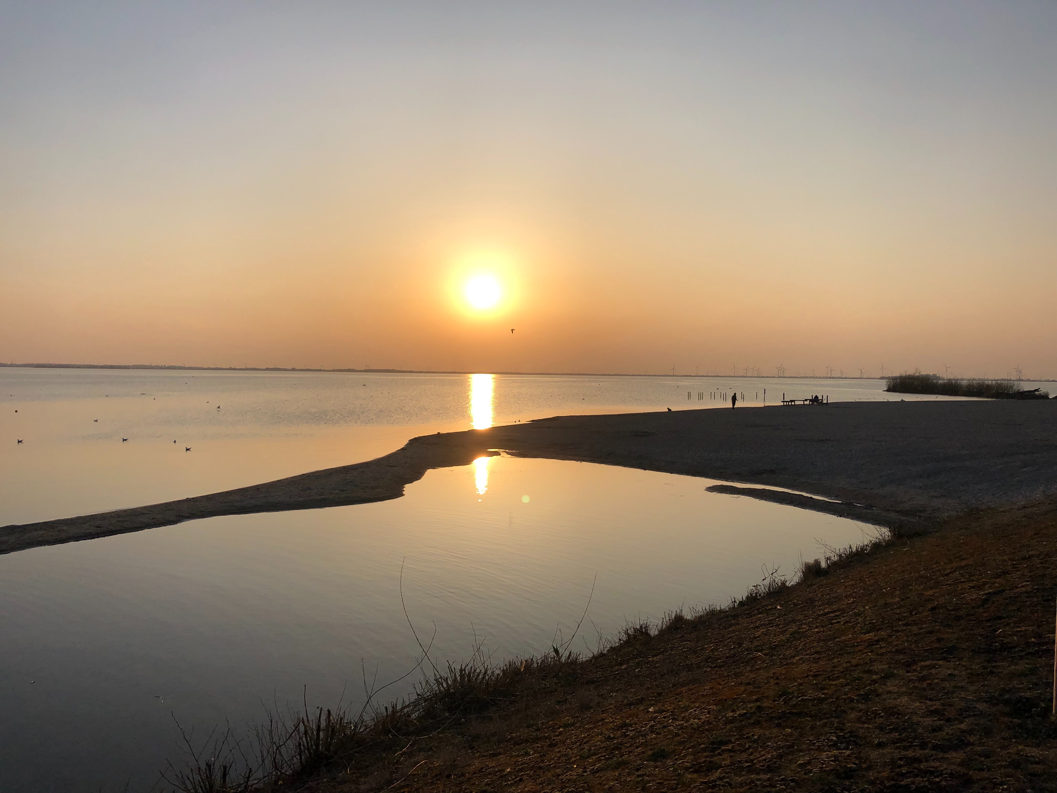 Filzio OnlyFans header