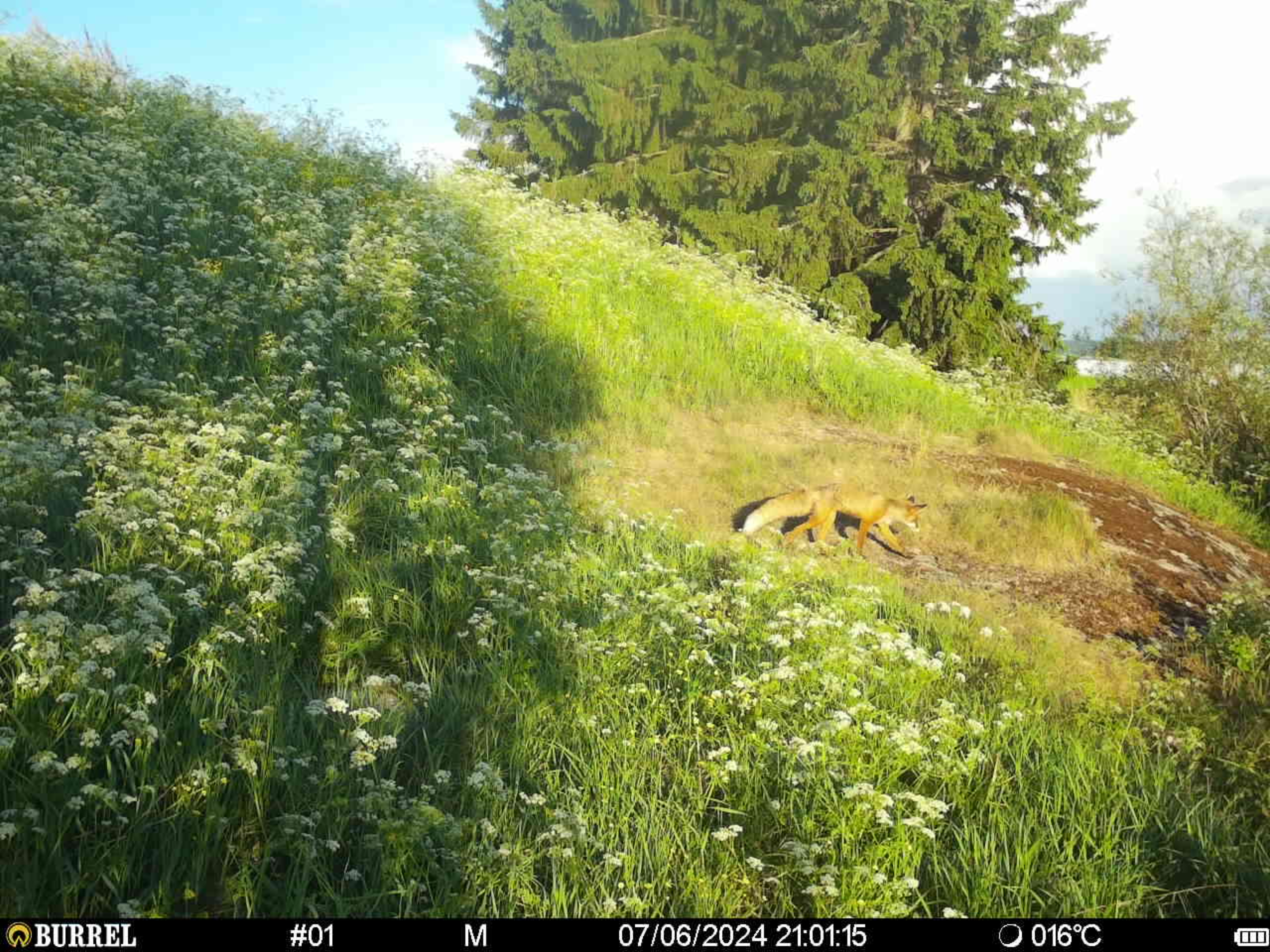 JohnBullett OnlyFans header