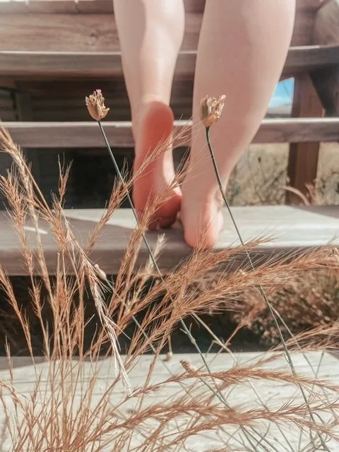 FindingFinleysFeet OnlyFans header