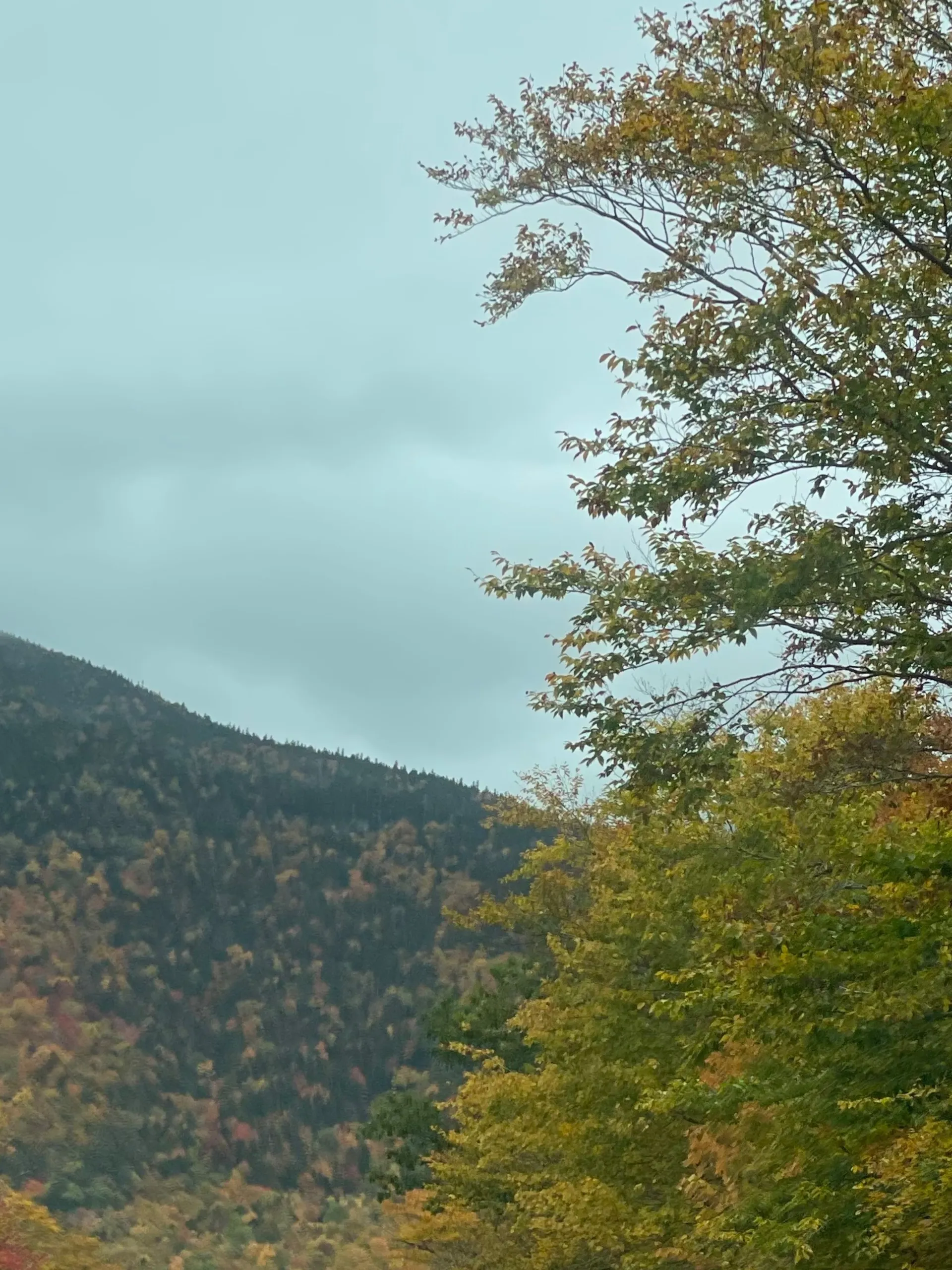 findmenyc OnlyFans header