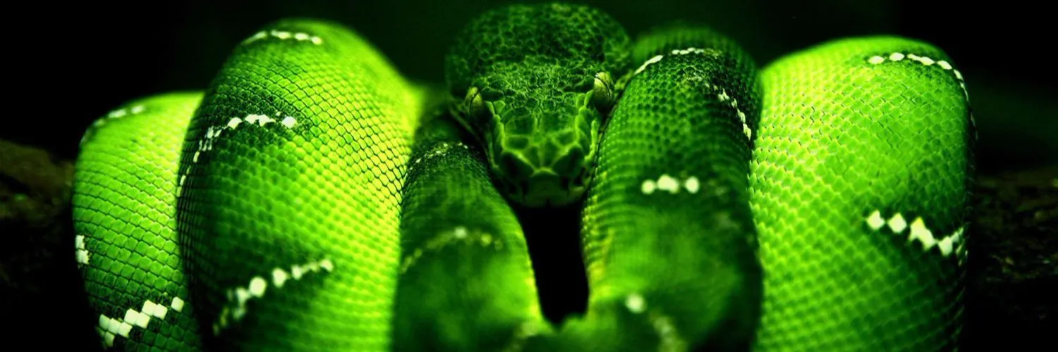 Ash Kash 💙 OnlyFans header