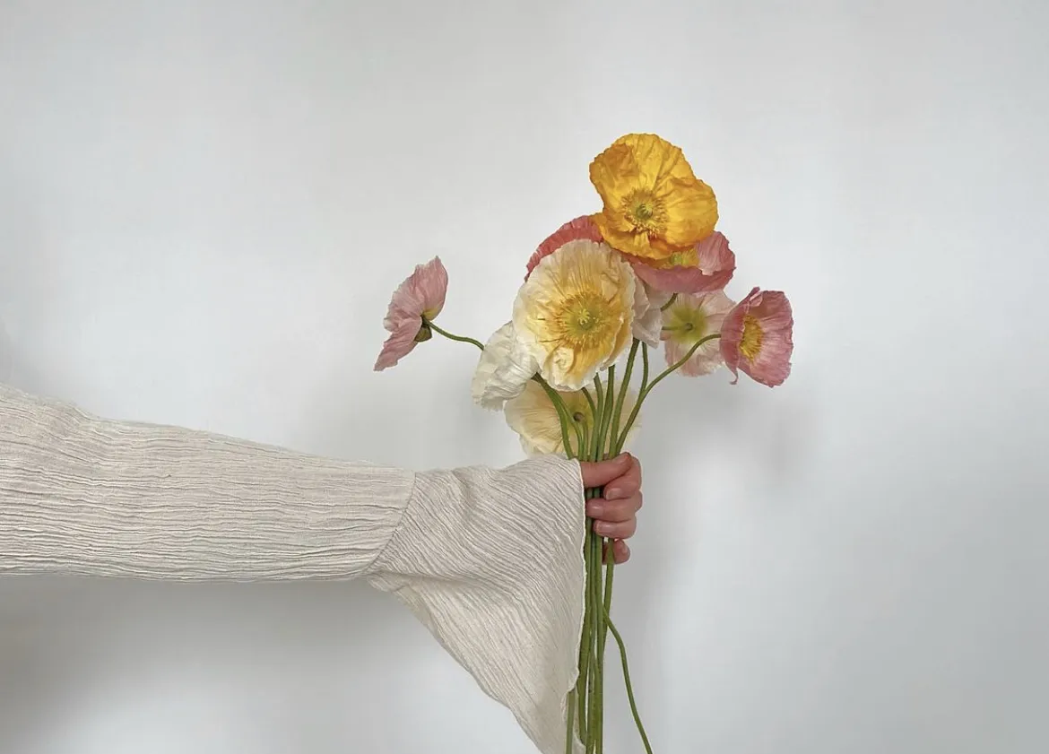 Princess Indie OnlyFans header