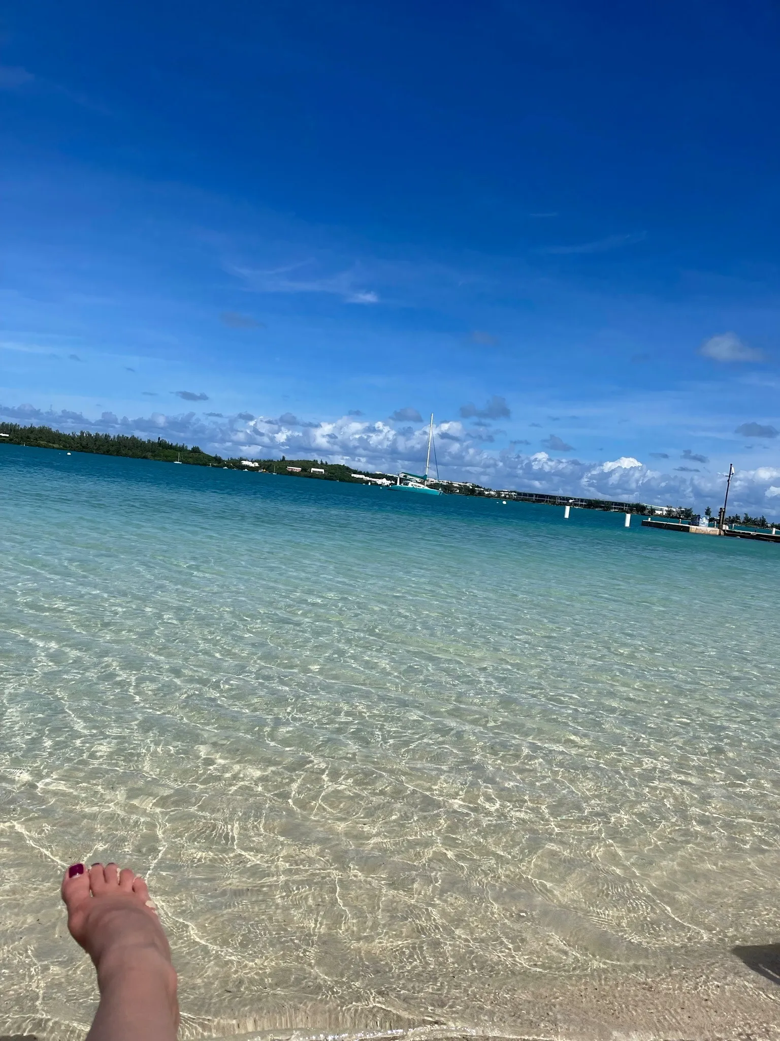 Findomprincess4life OnlyFans header