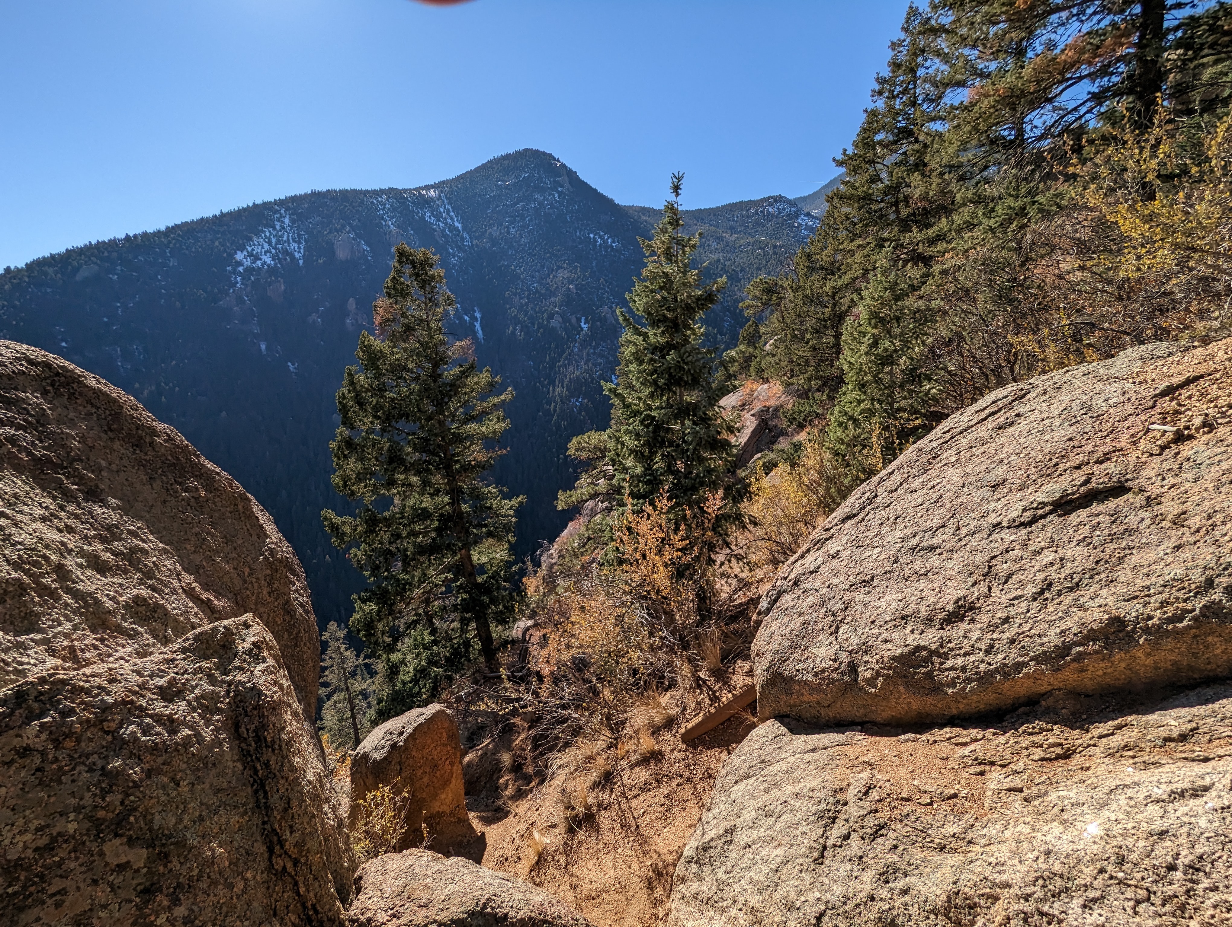 Fine Specimen OnlyFans