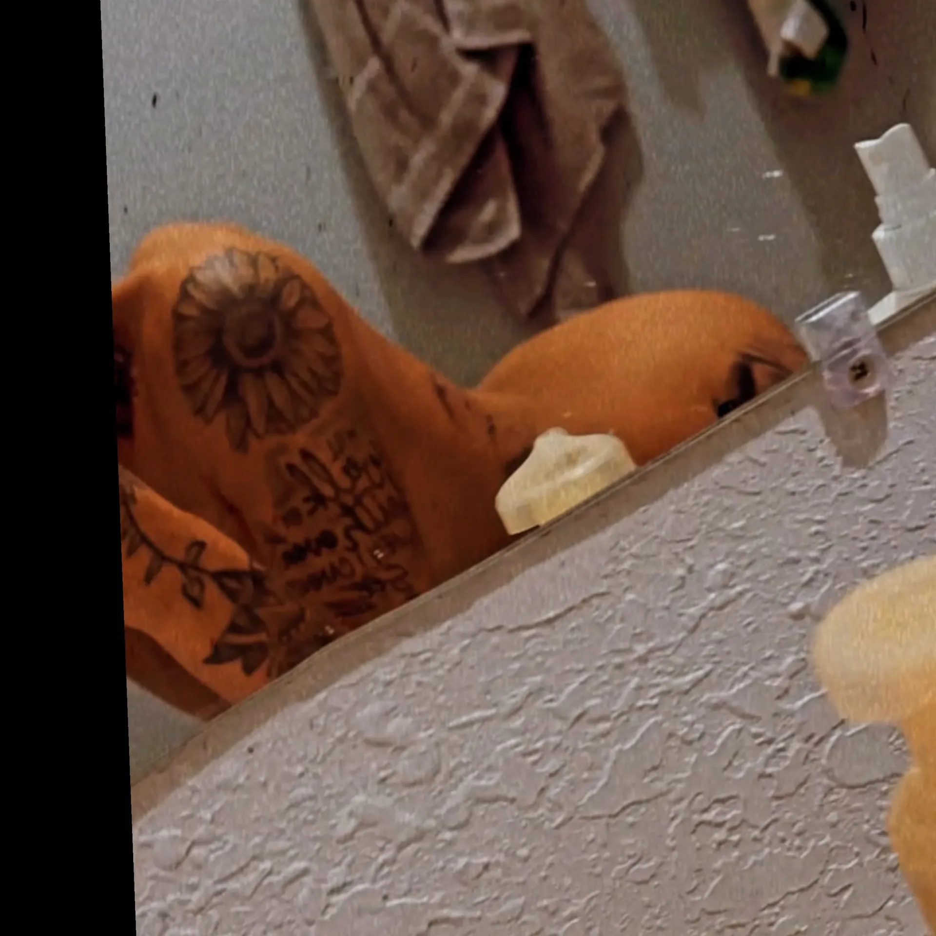 Nora Babyy 👅💦 OnlyFans header