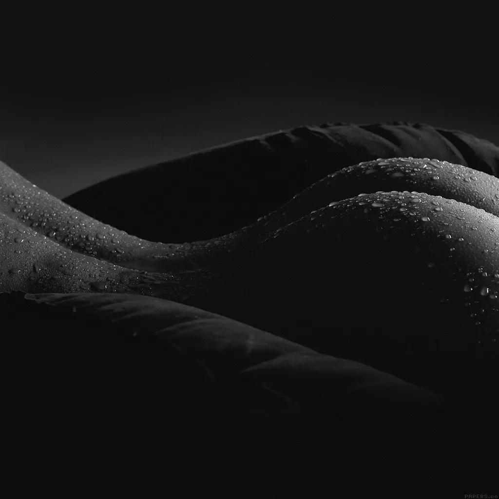 FineAssBarbie OnlyFans header