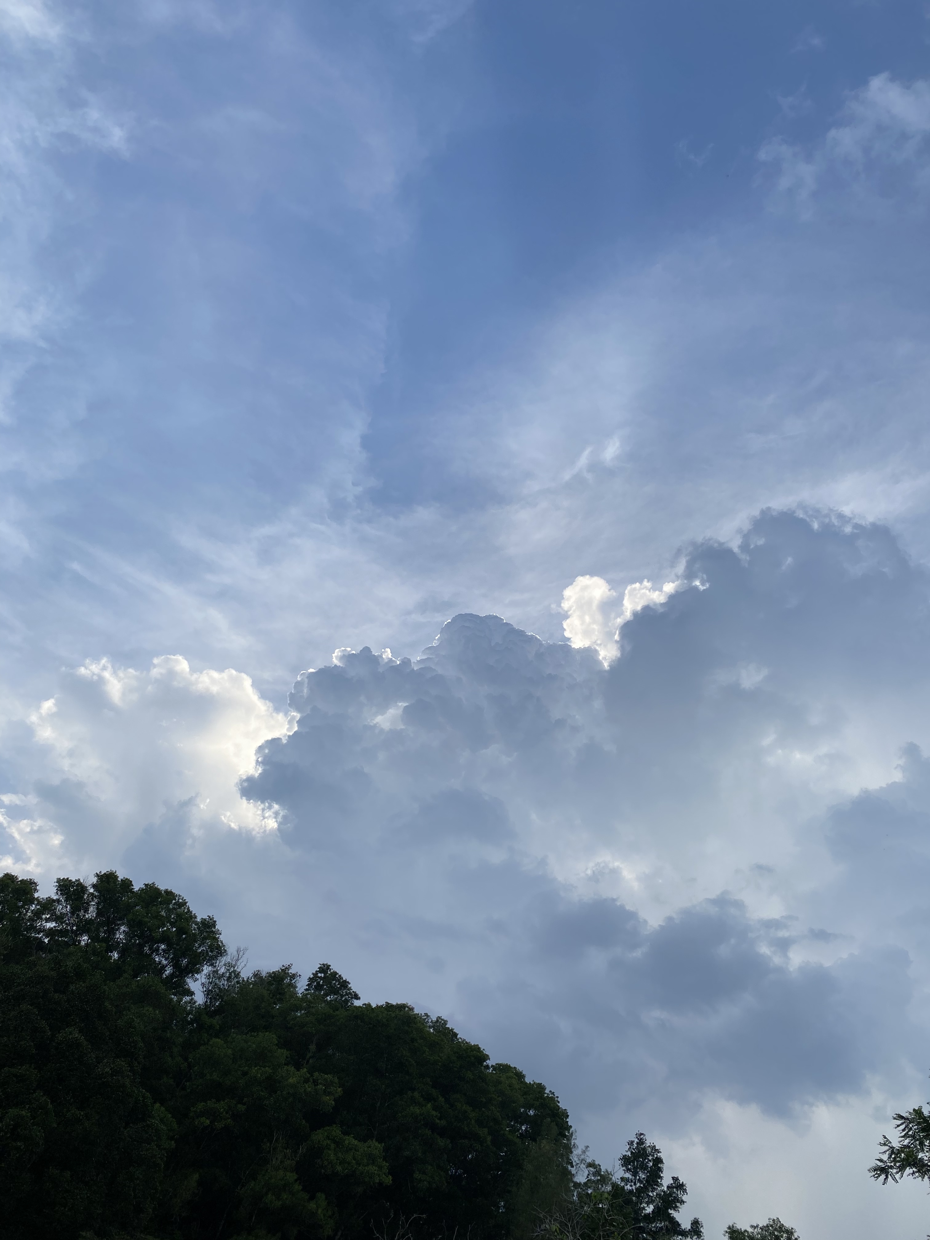 Fine China OnlyFans header