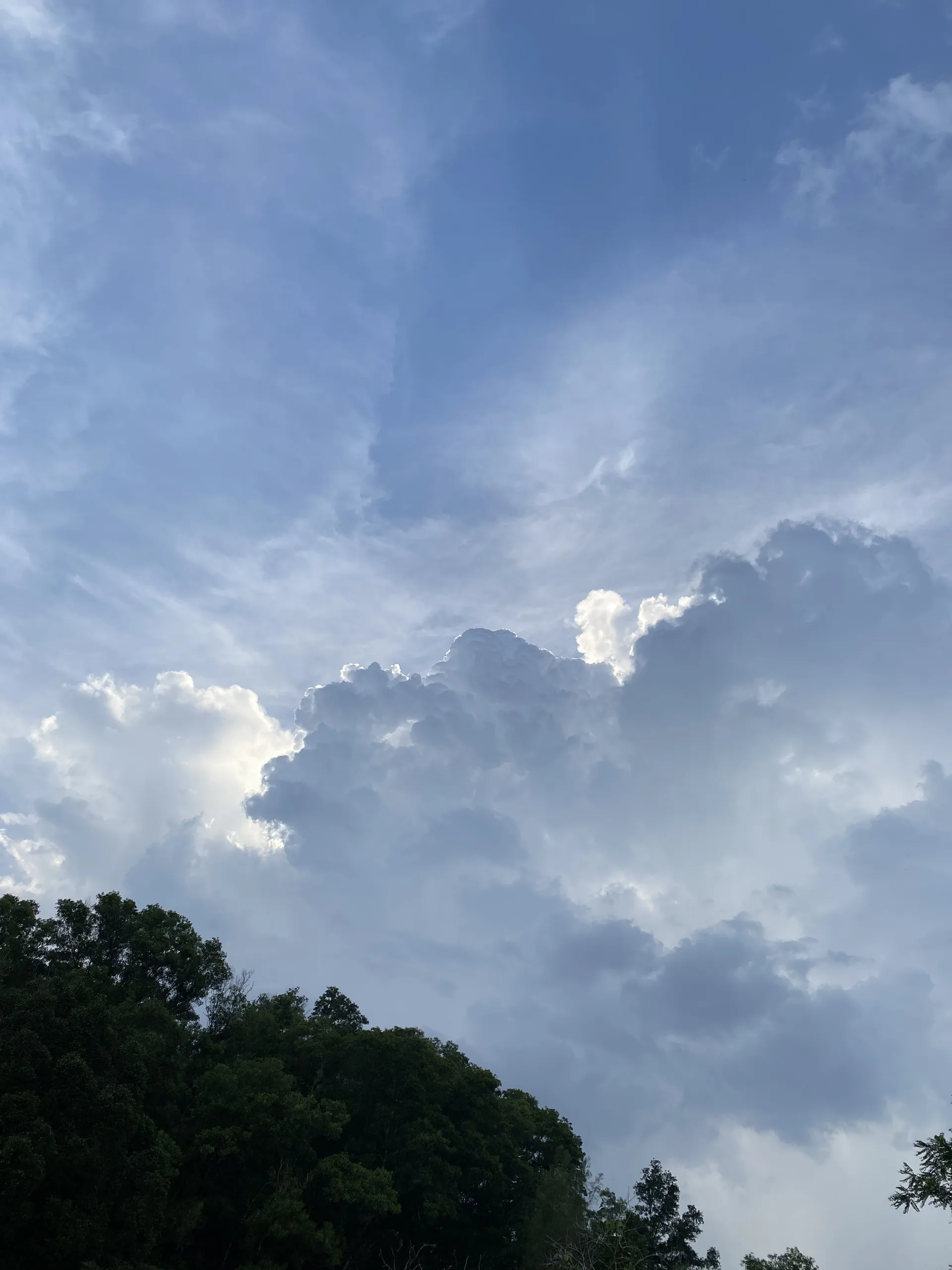 Fine China OnlyFans header