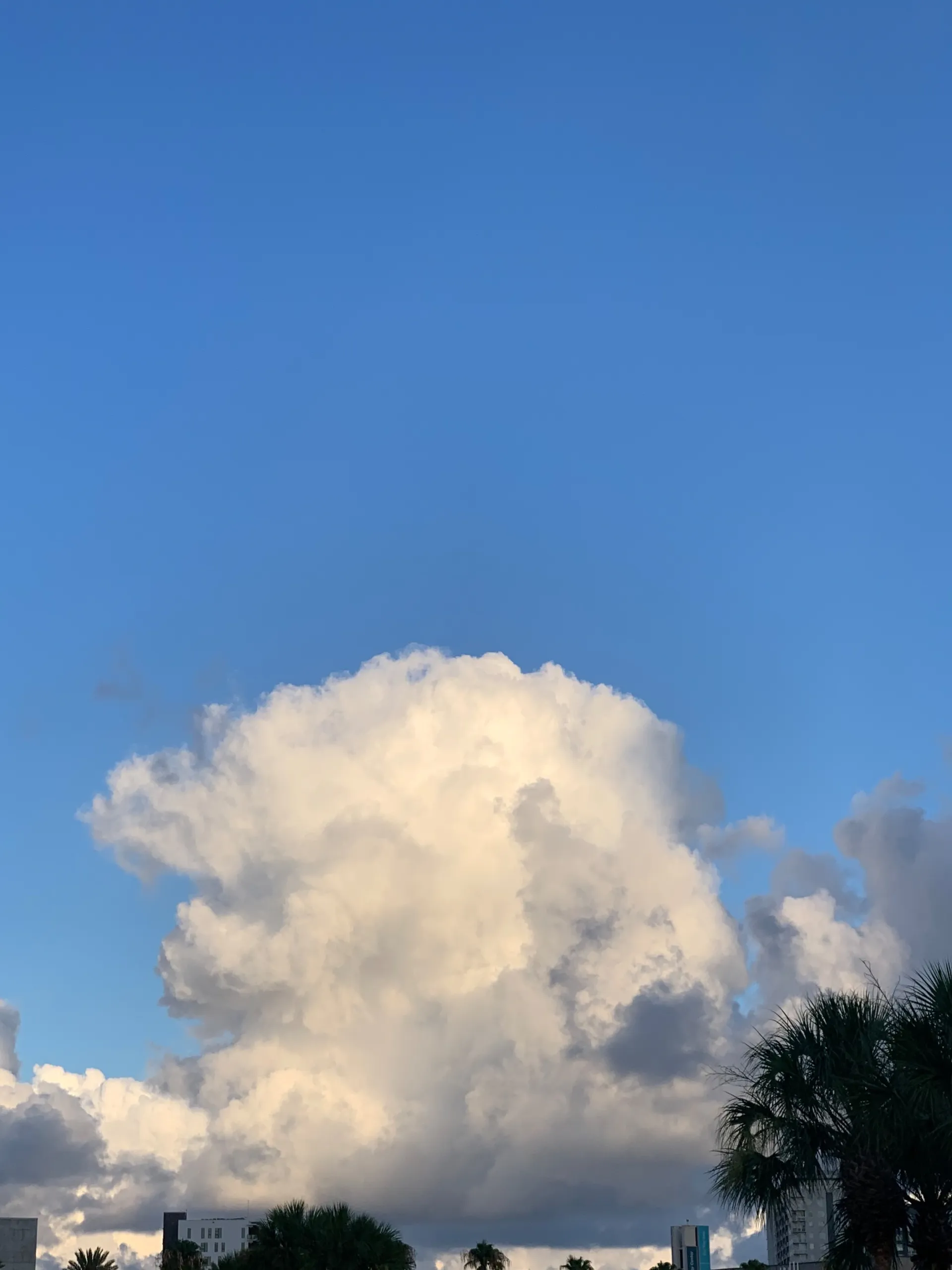 Yoursxyboi OnlyFans header