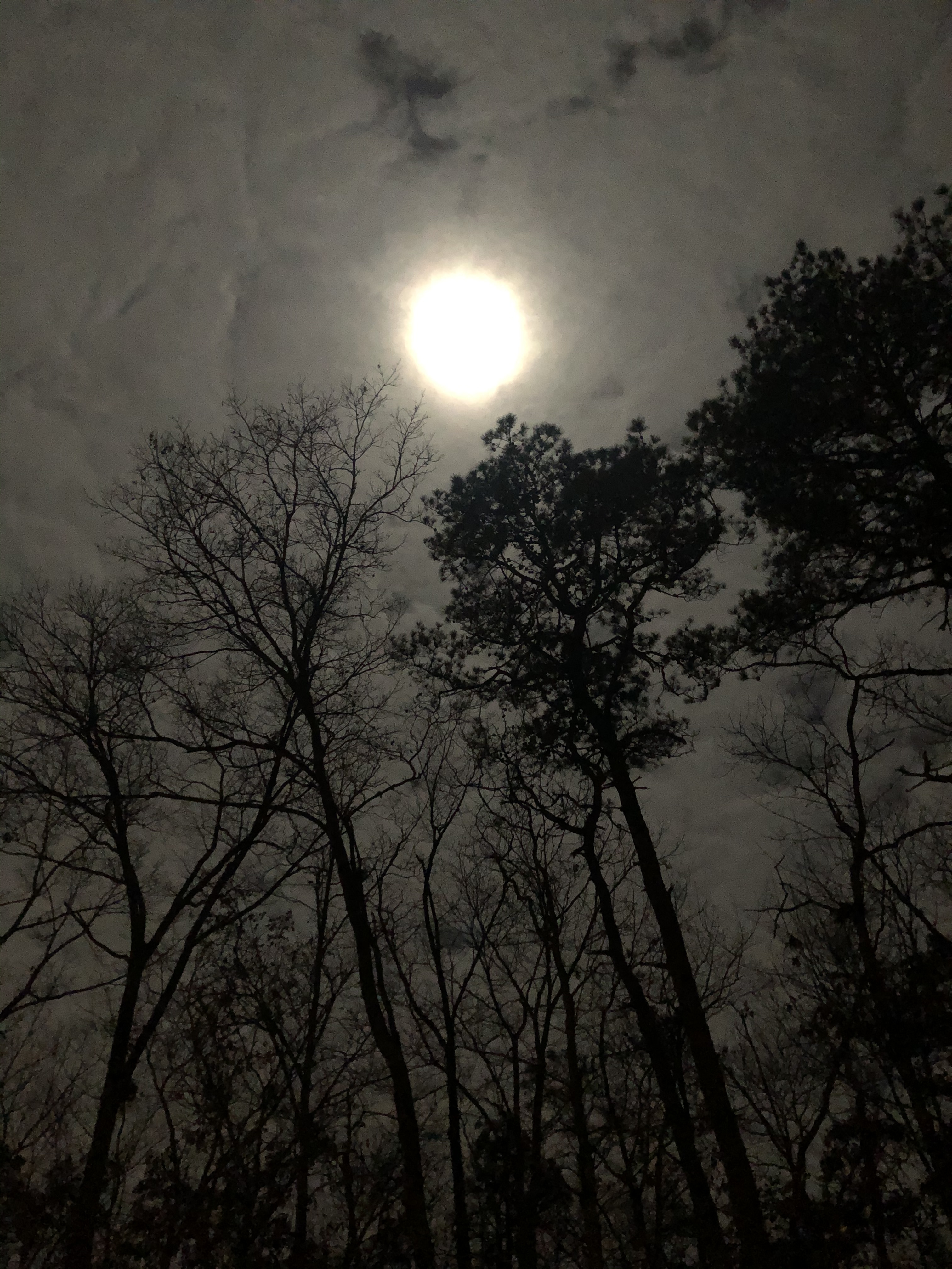 Finessegod OnlyFans header