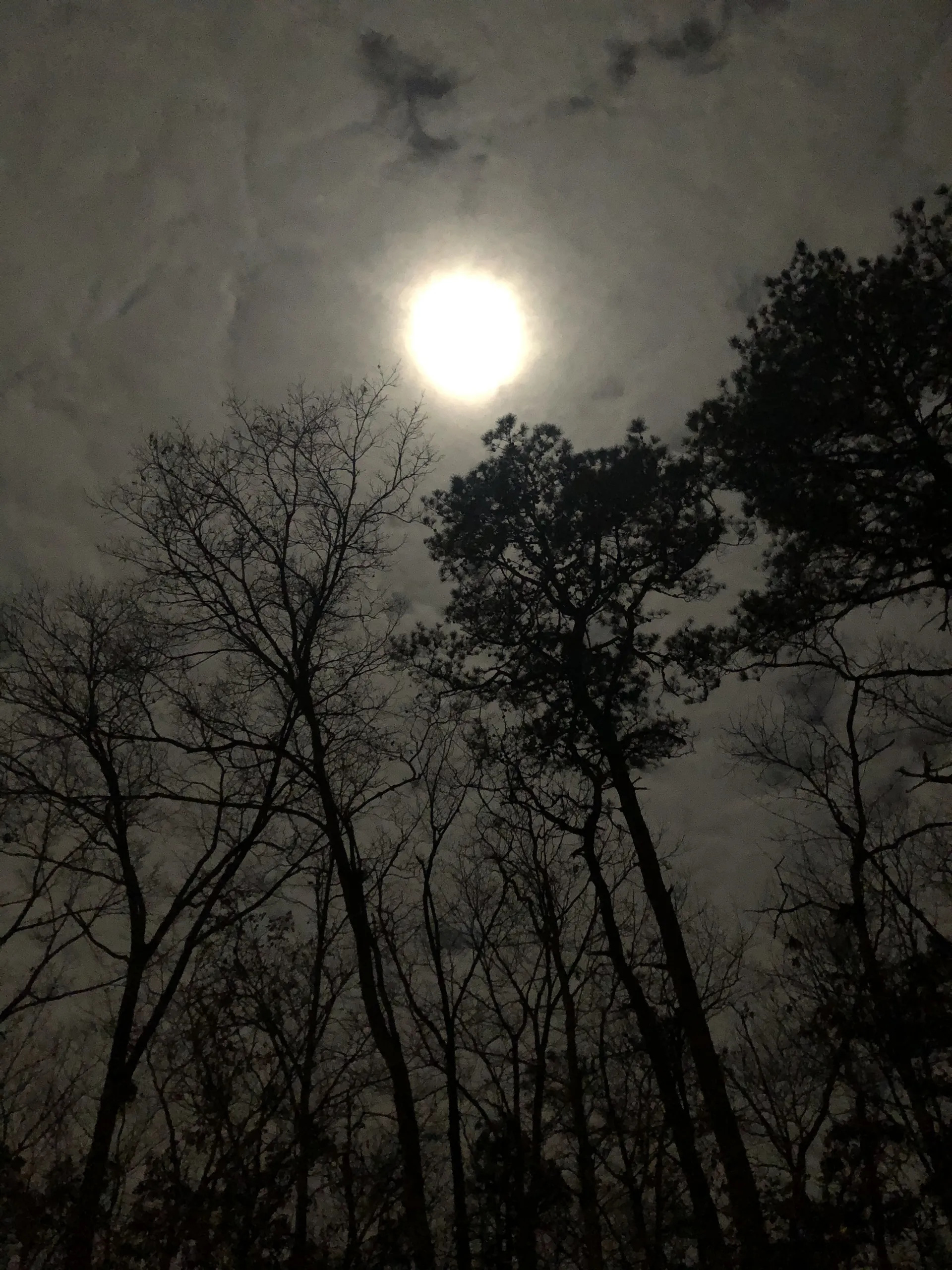 Finessegod OnlyFans header