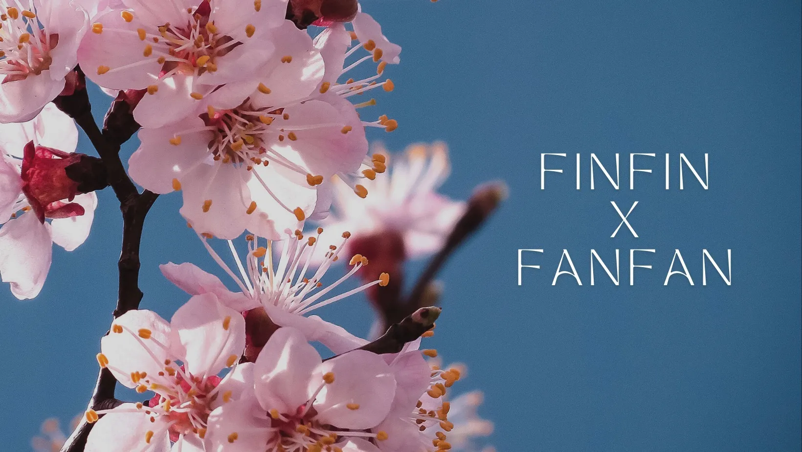 finfinxfanfan OnlyFans header