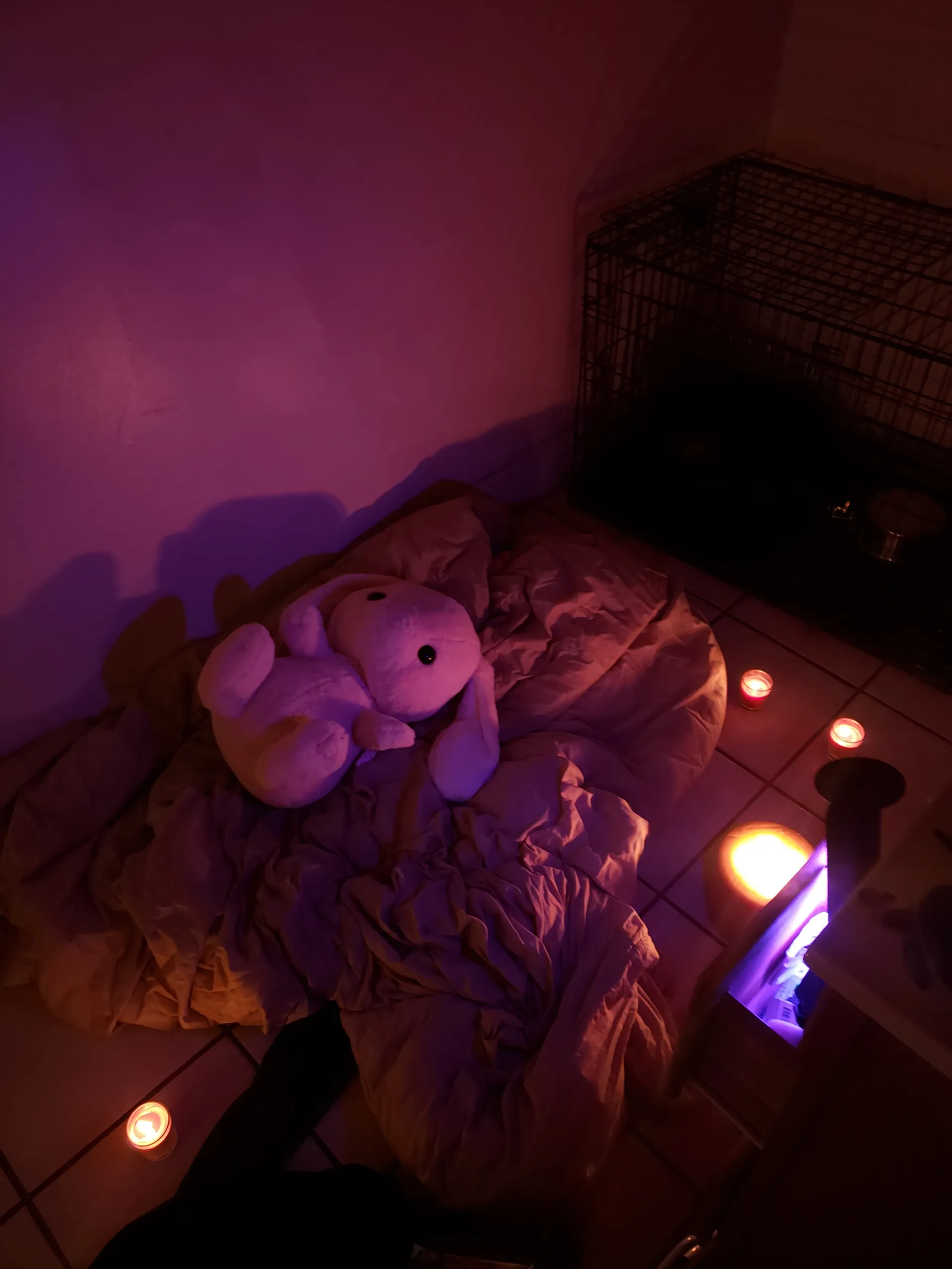 Finley OnlyFans header