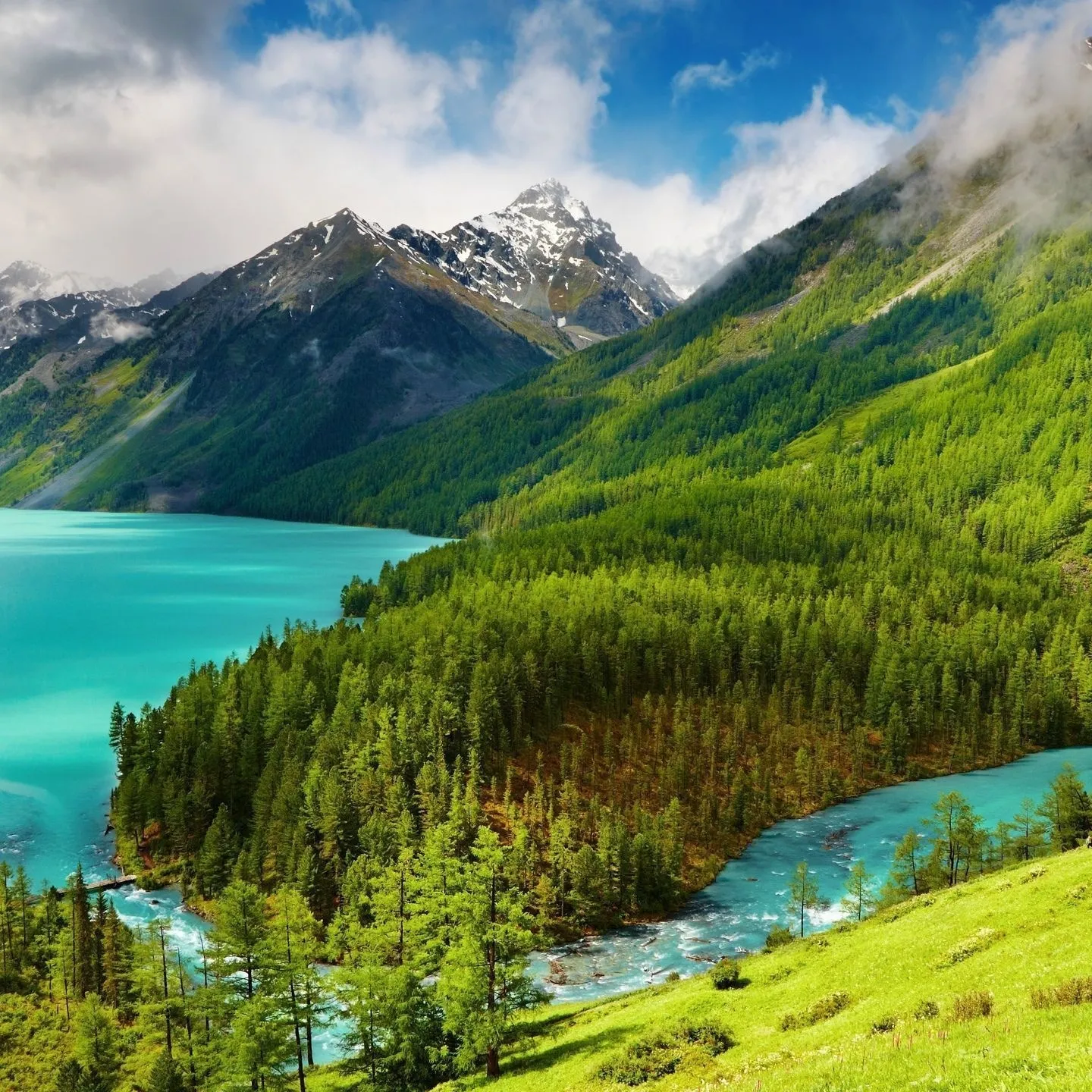 Tomzzska OnlyFans header