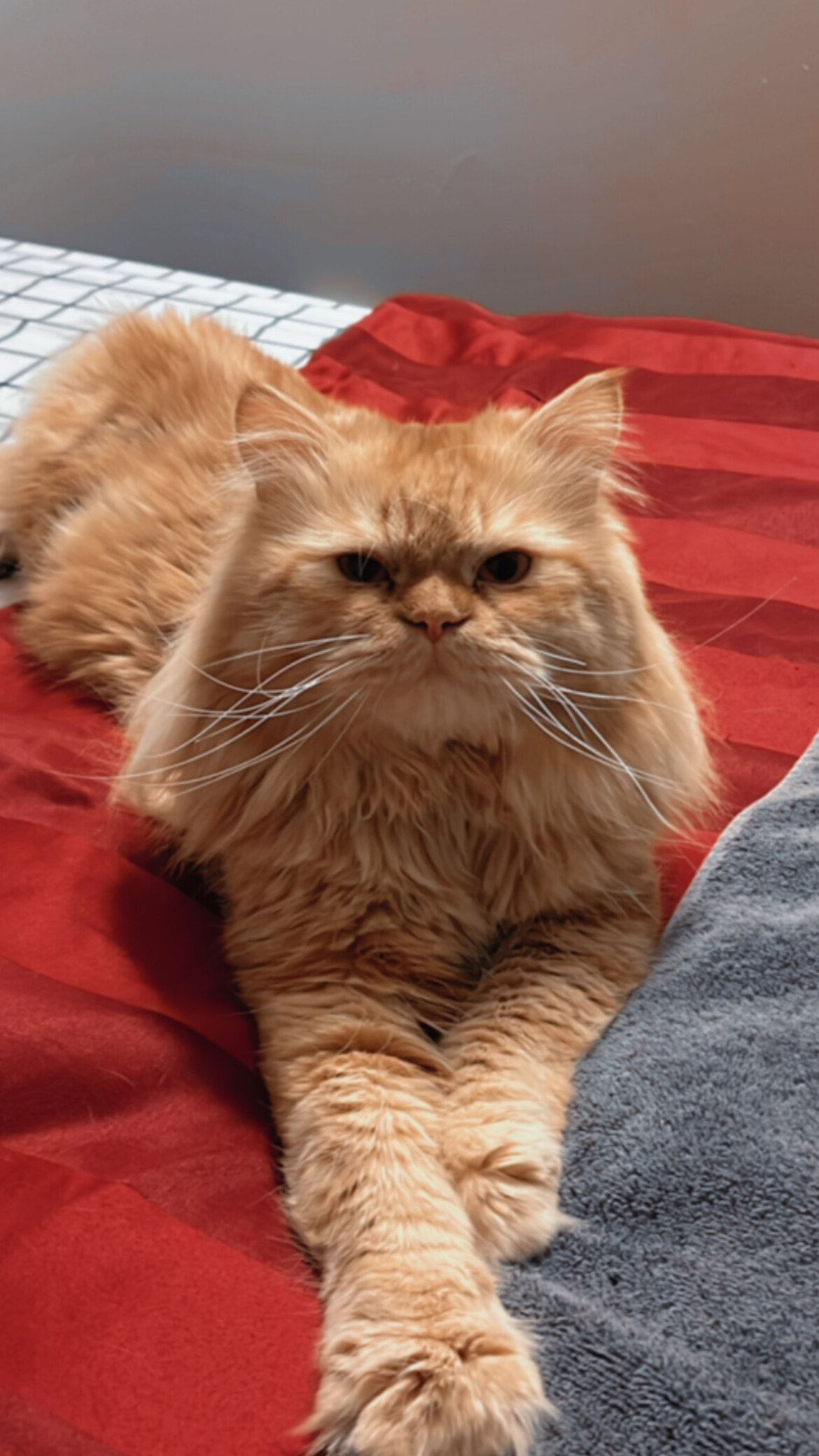 Finn Rosewood OnlyFans