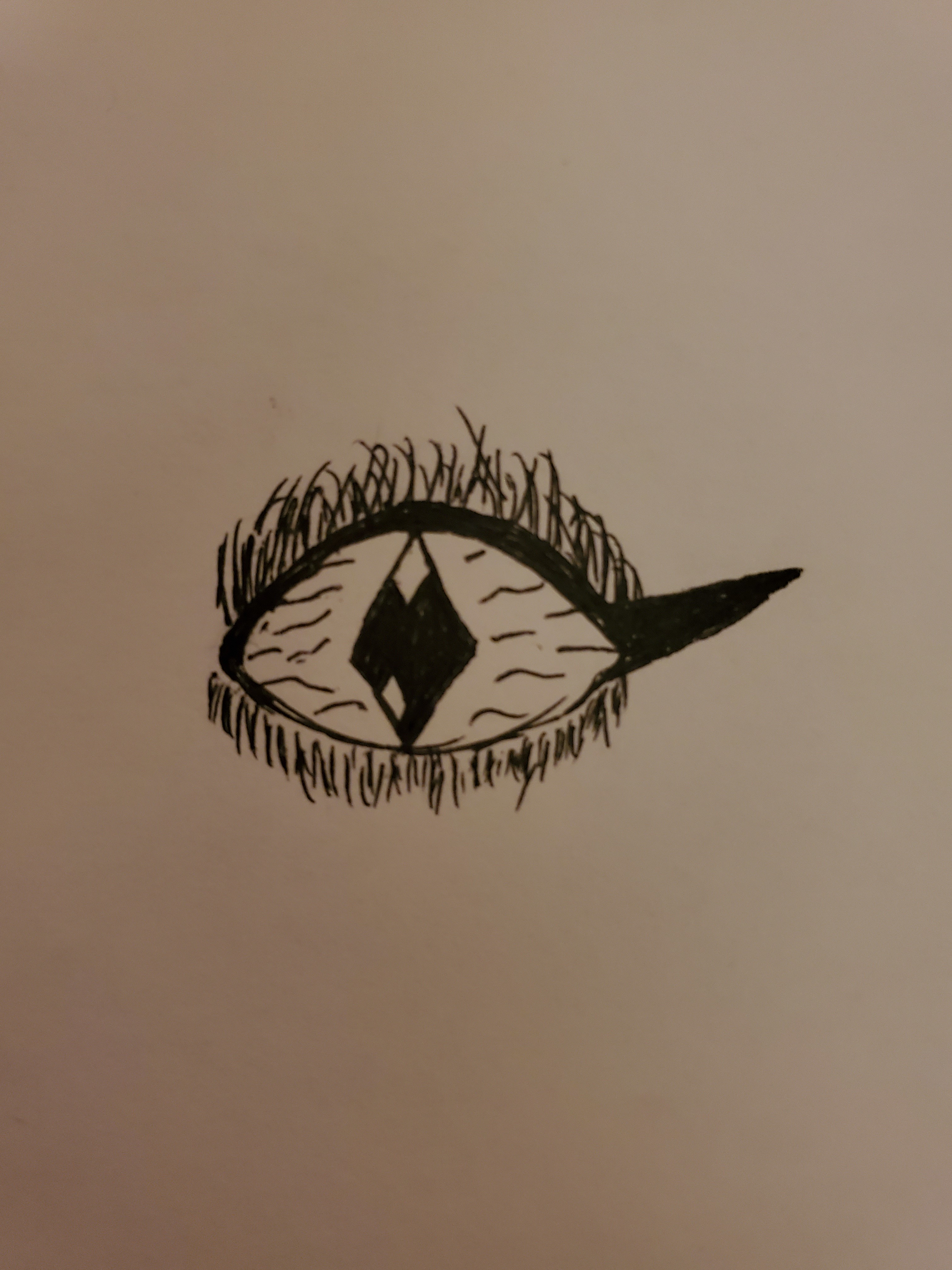 Finley OnlyFans header