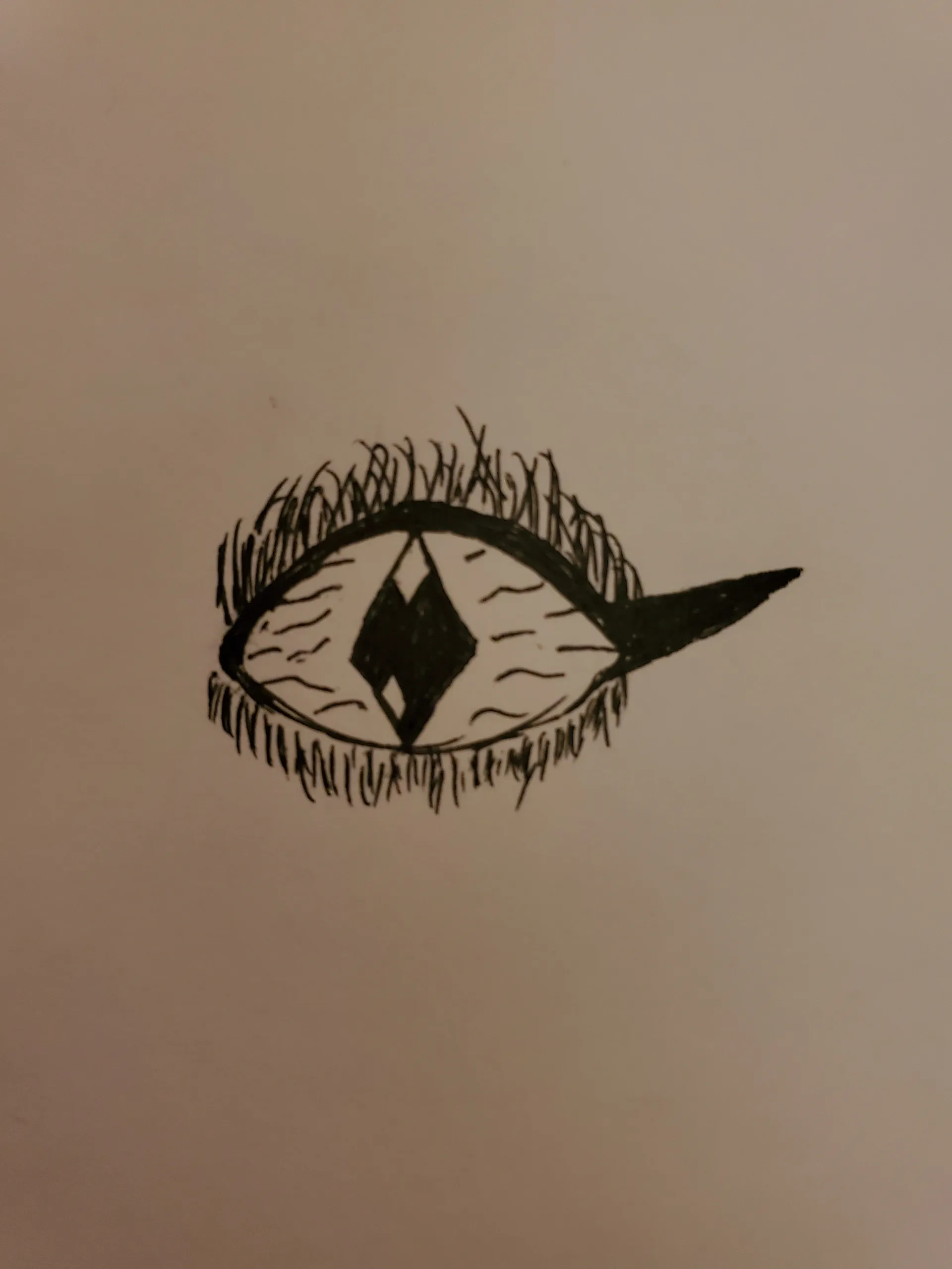 Finley cover