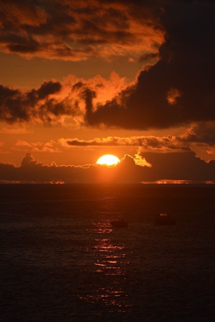 Fiona Mancini OnlyFans header