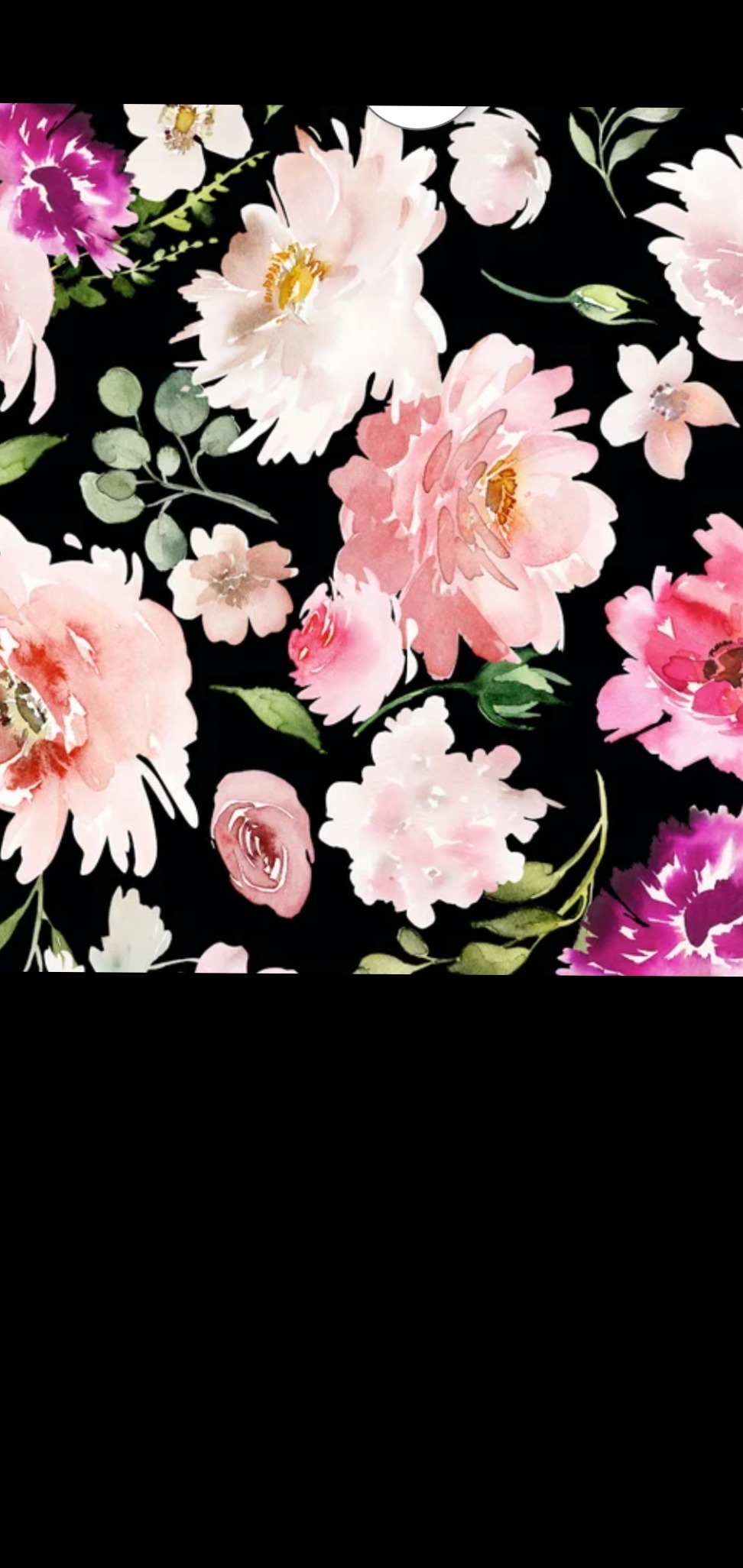 Fiona Flower OnlyFans header