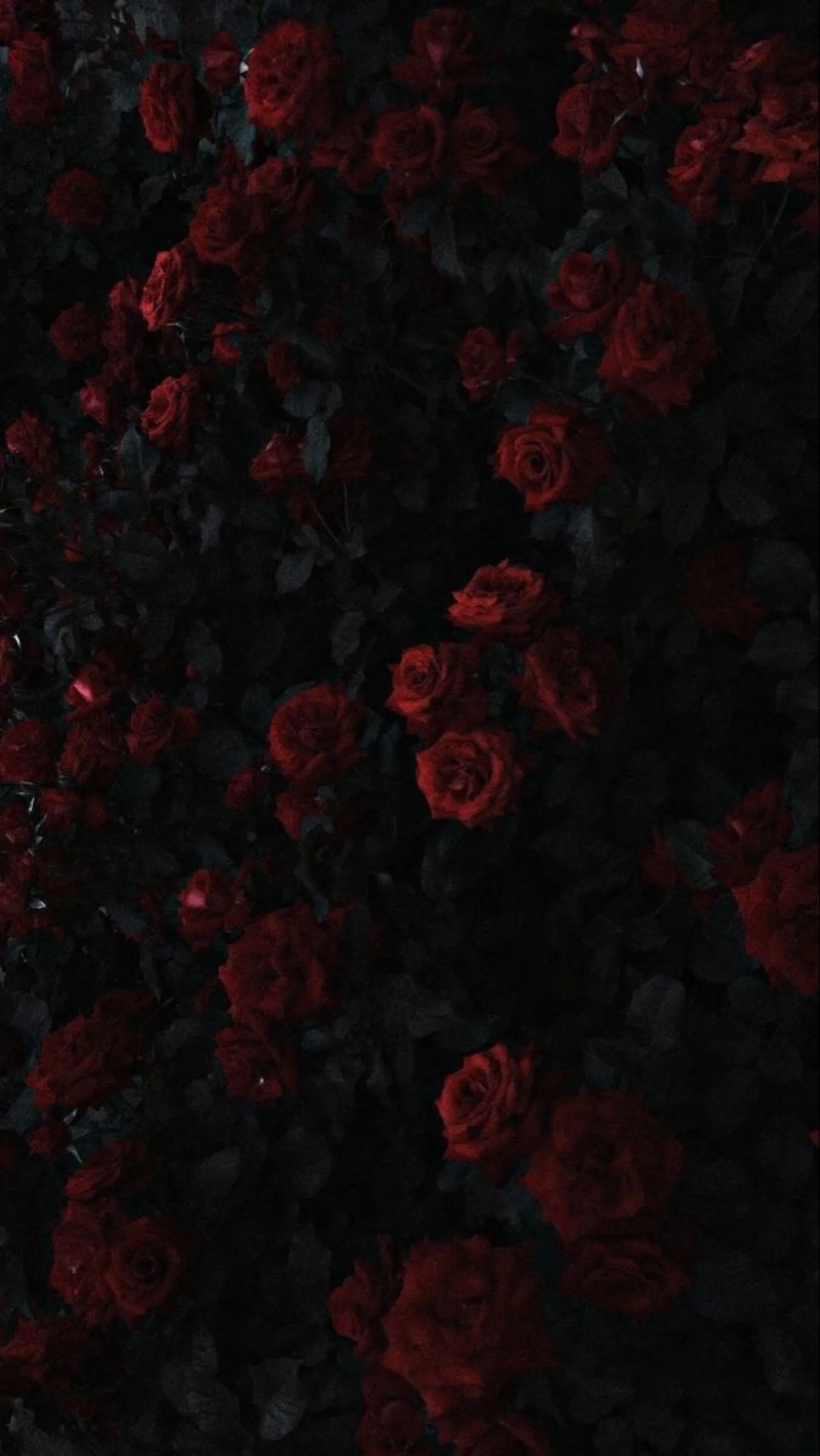 Fiona Ford💋 OnlyFans header