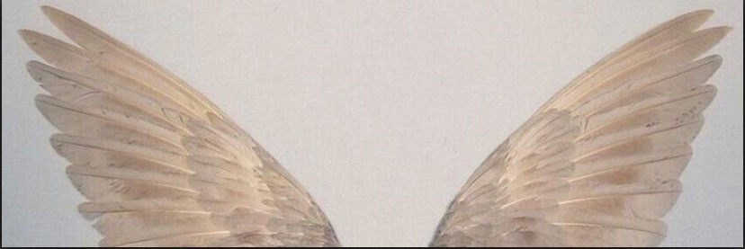 fiona gallagher OnlyFans header