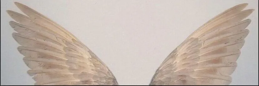 fiona gallagher OnlyFans header