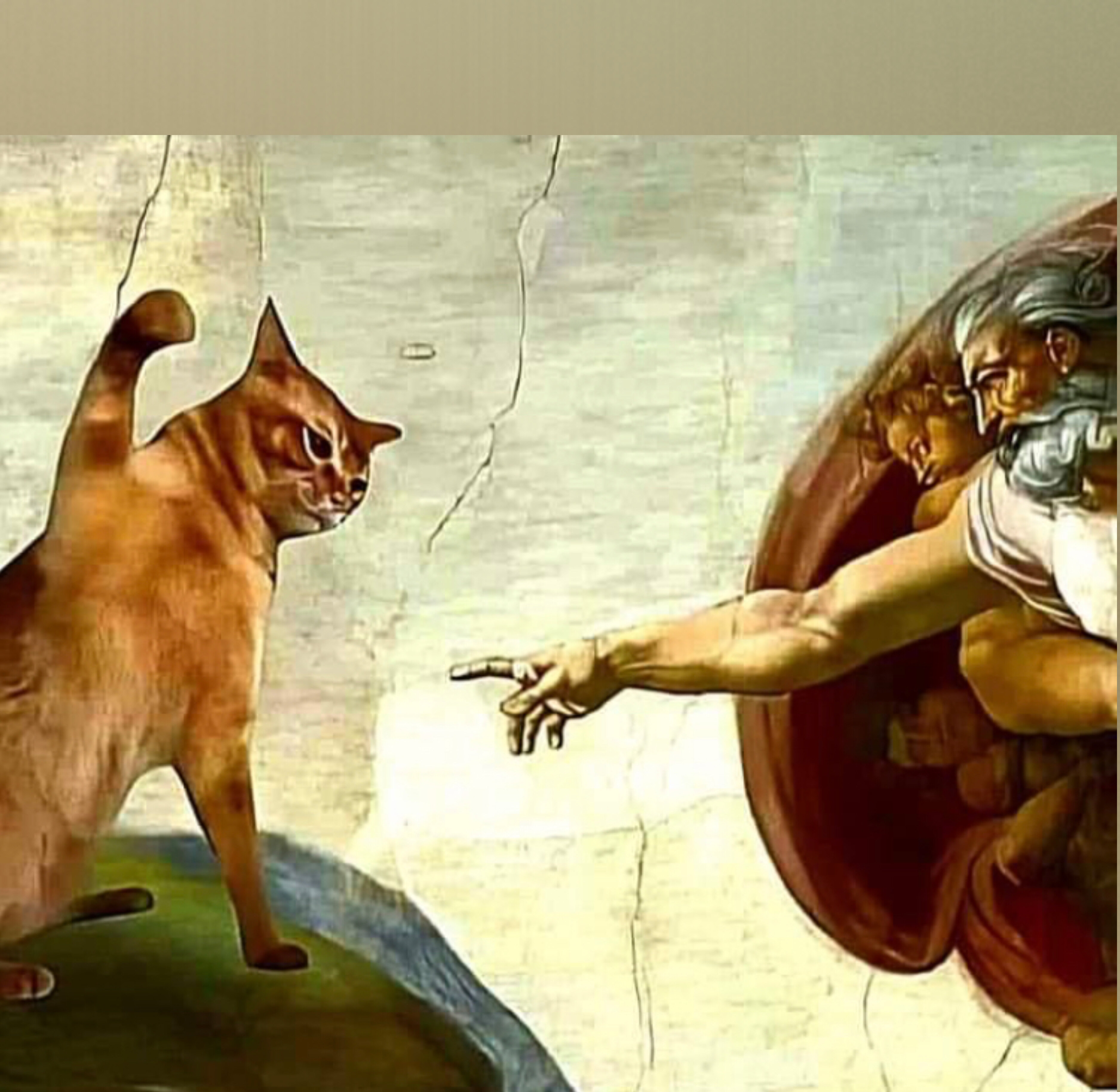 Fiona OnlyFans header