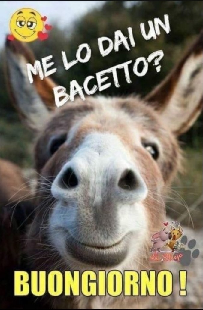 Fiorentino76 OnlyFans header