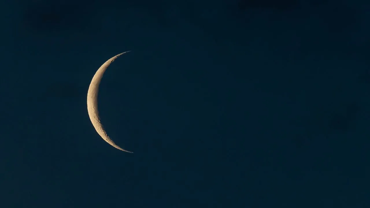 Firemoon OnlyFans header