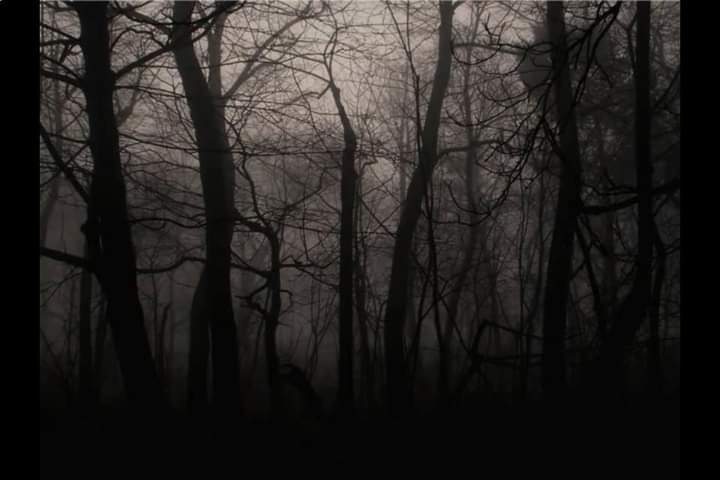 Ashby Elaine OnlyFans header