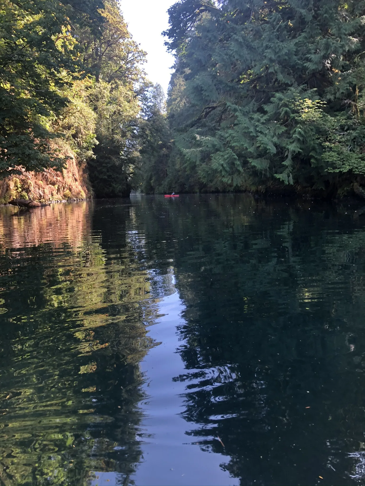 Fire &amp; Gasoline OnlyFans header