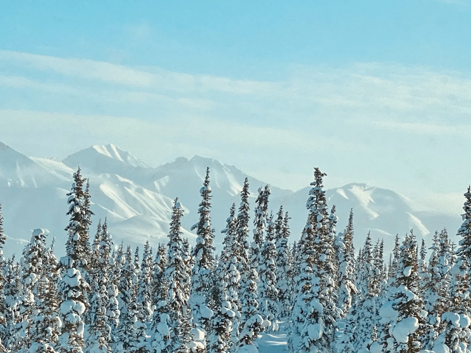 FIRE&amp;ICE_907 OnlyFans header