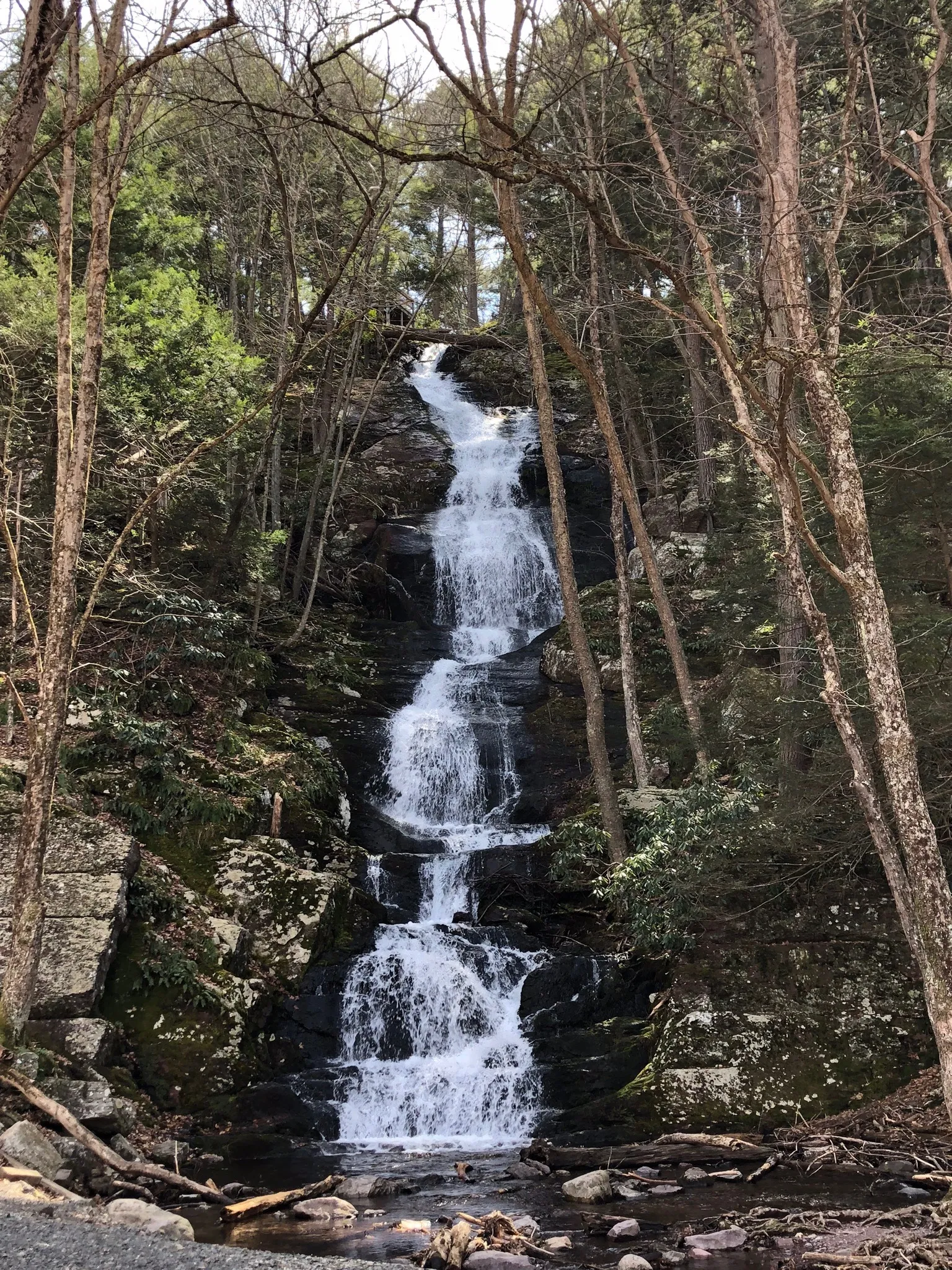 Firebaby OnlyFans header