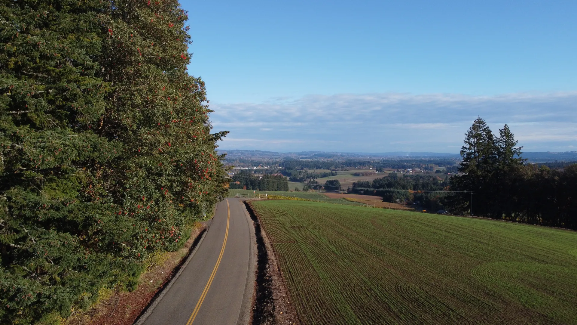 Fred OnlyFans header