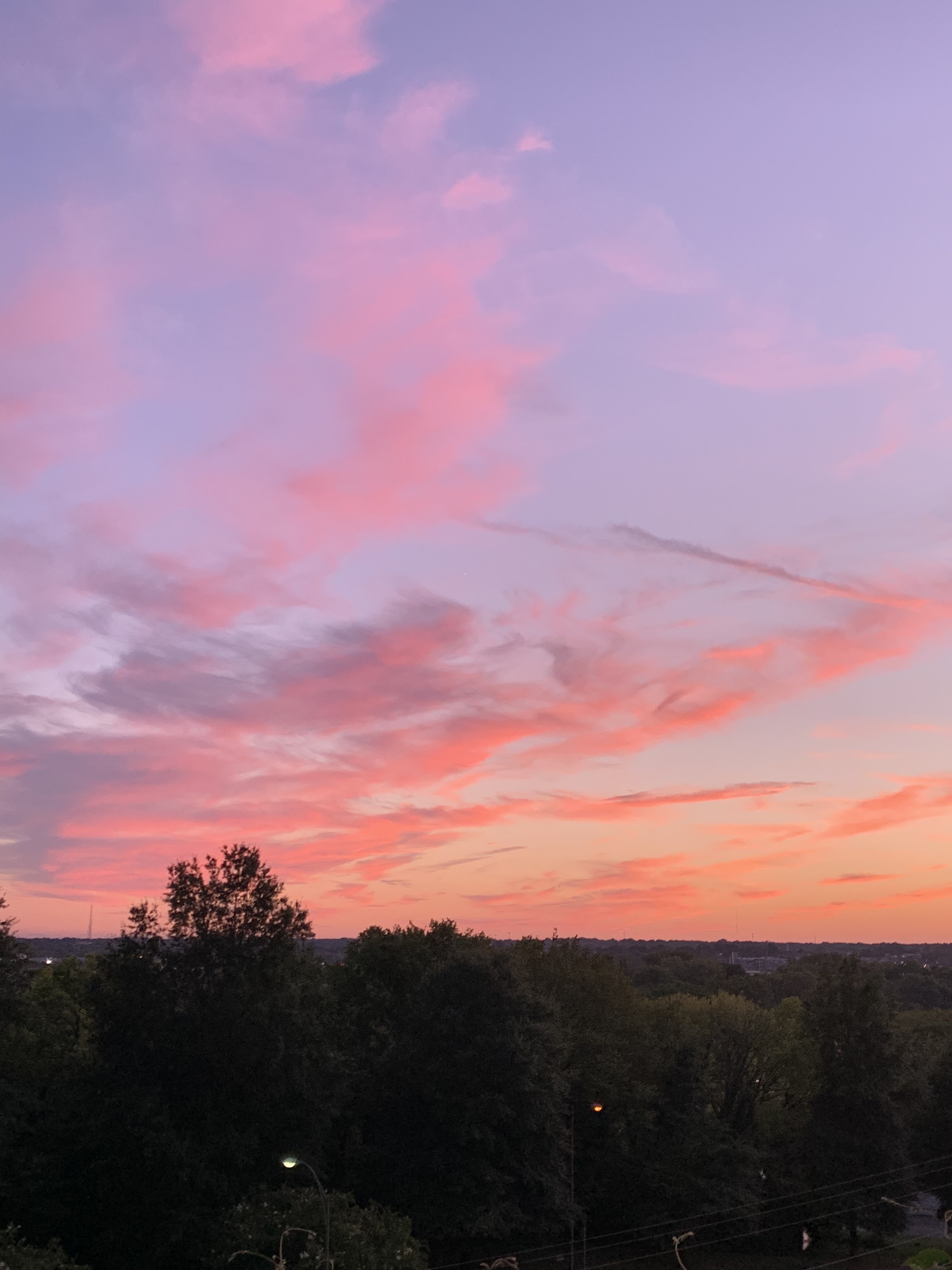 ʕ•ᴥ•ʔ OnlyFans header