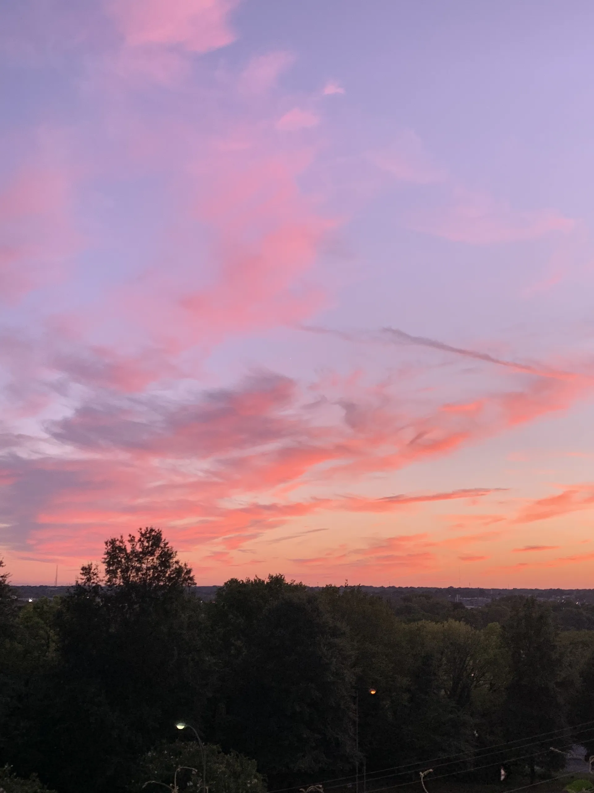 ʕ•ᴥ•ʔ OnlyFans header