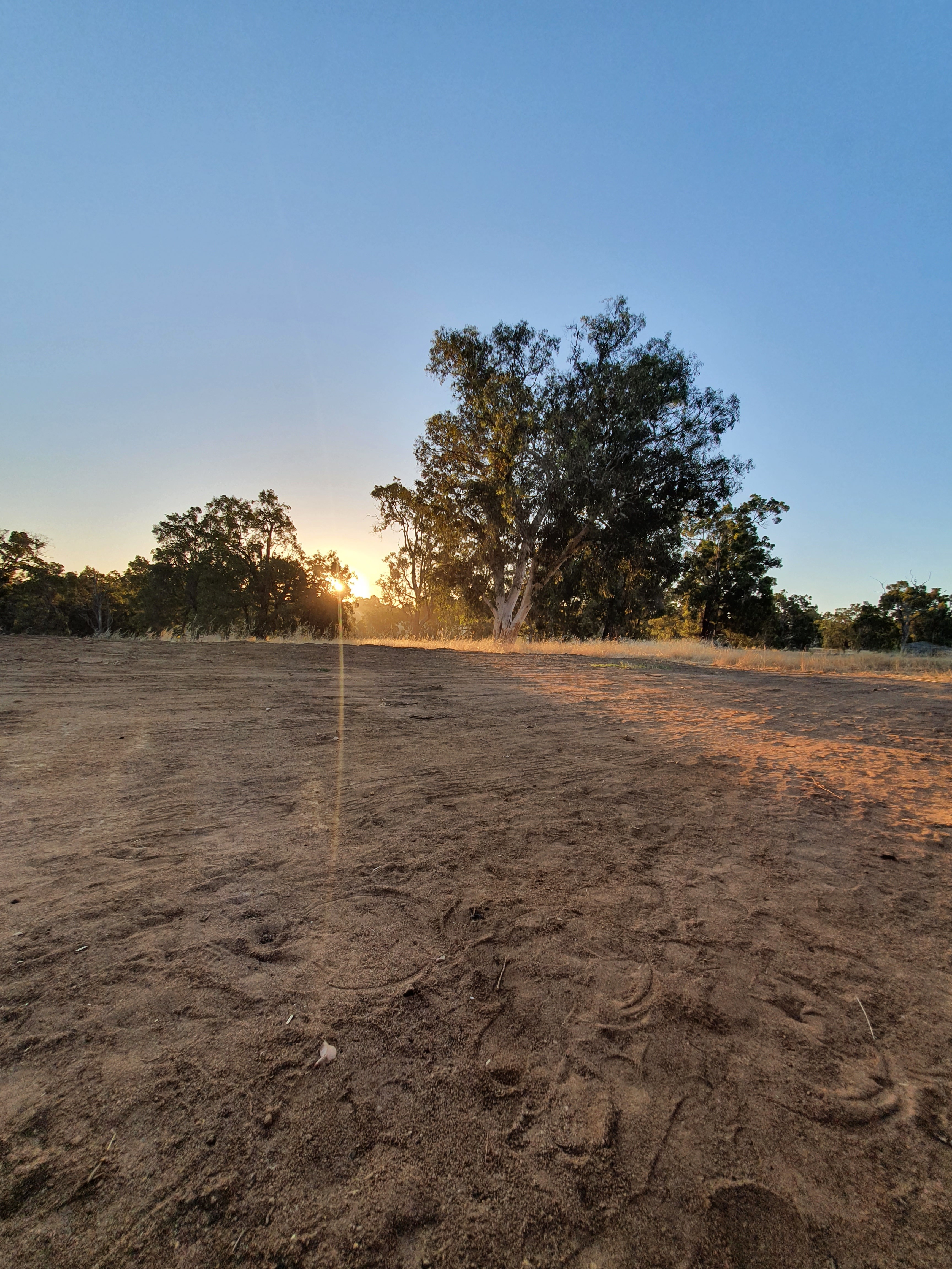 XxfiredrakexX OnlyFans header