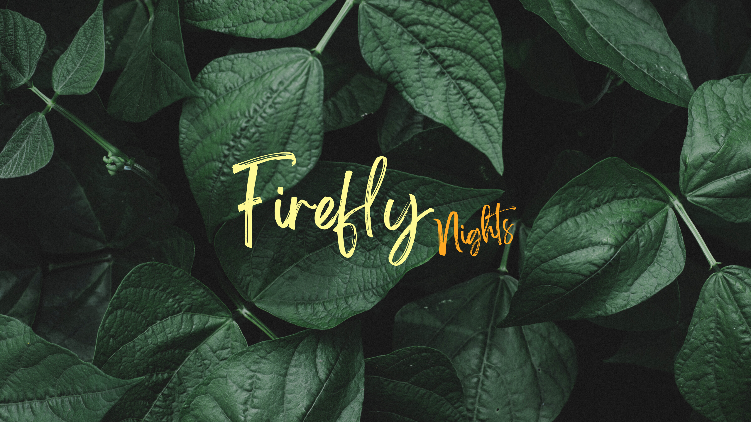 Firefly Nights OnlyFans header