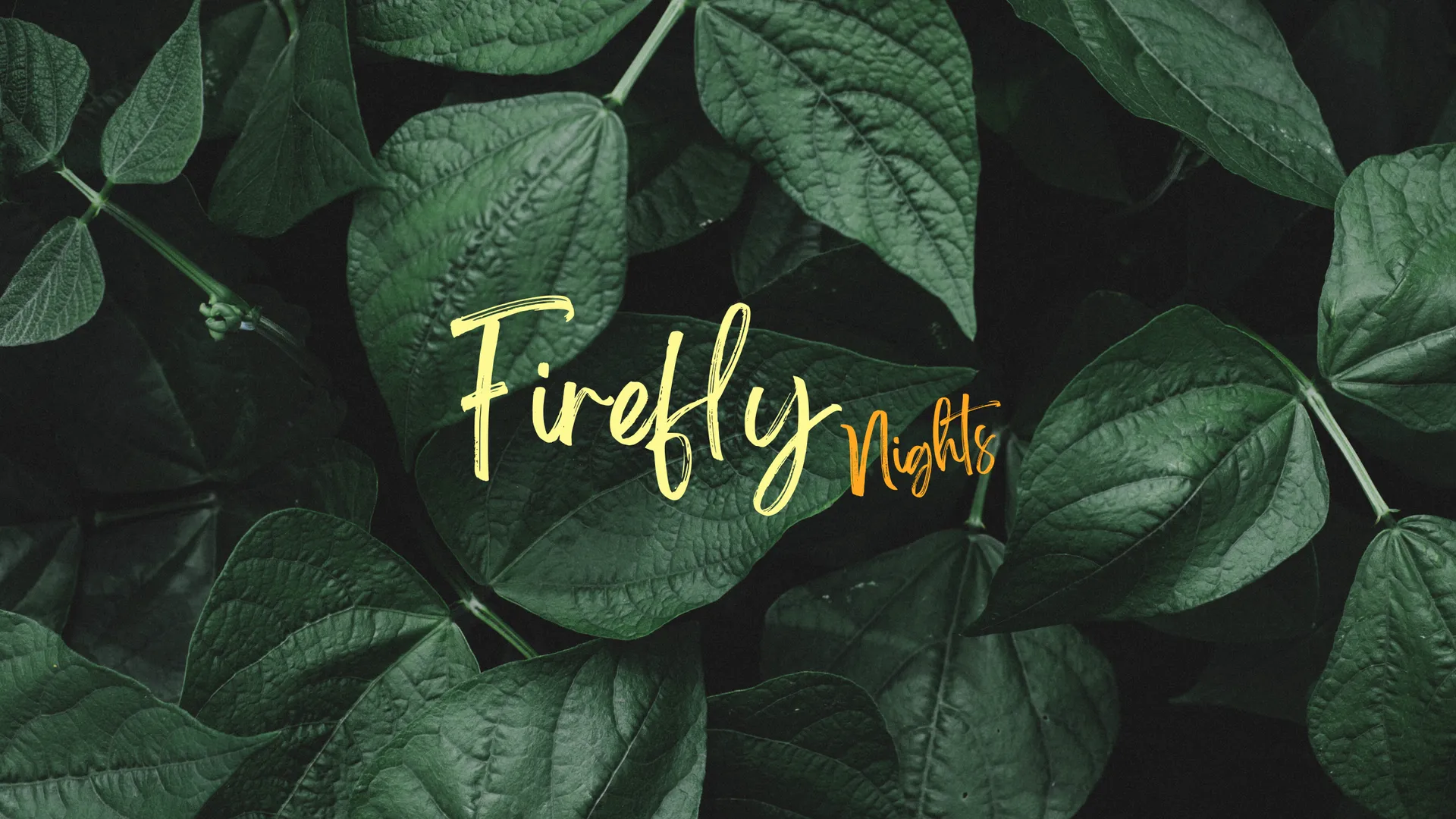 Firefly Nights OnlyFans header
