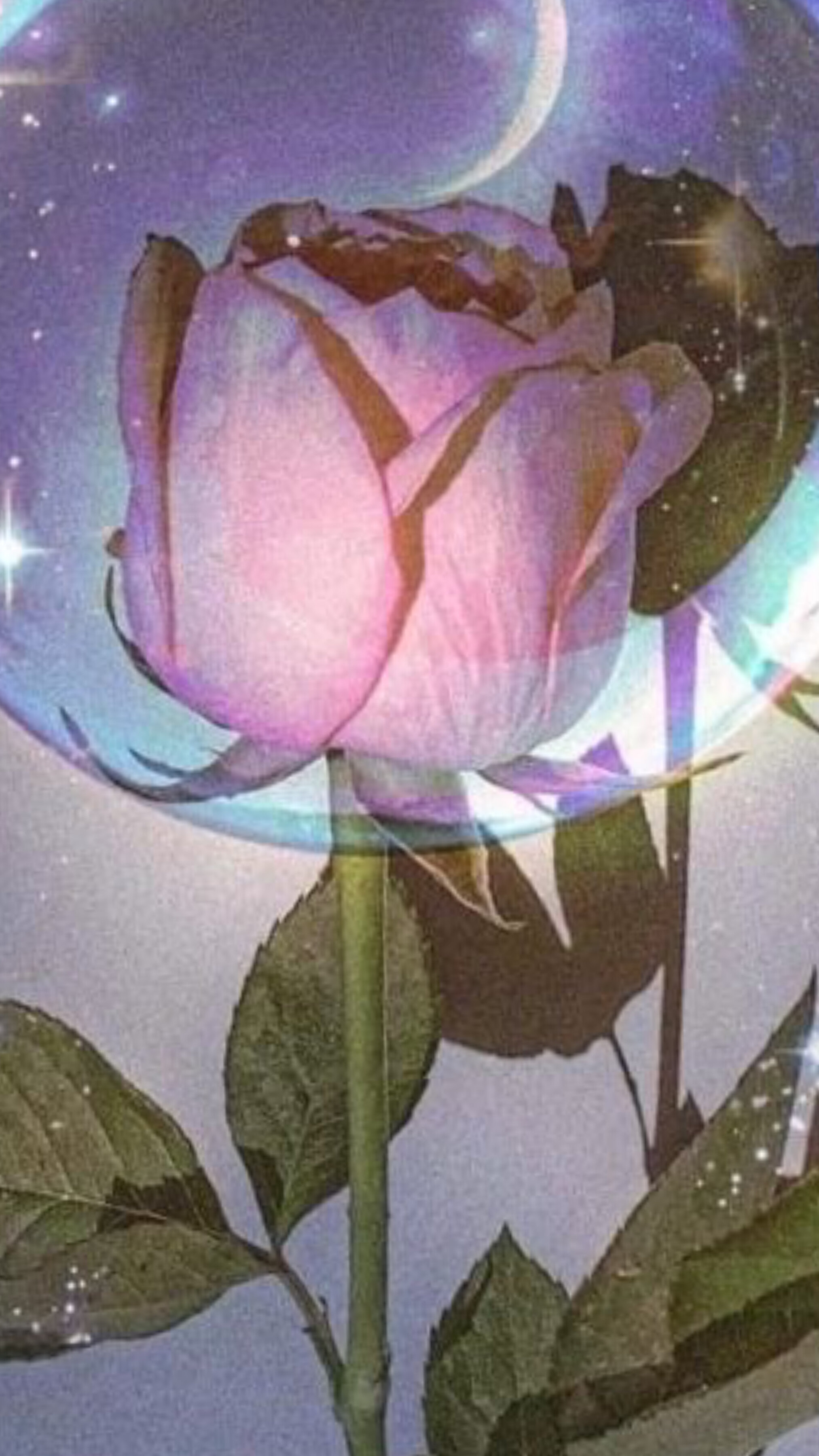 Gatita lunar 🌙 OnlyFans header